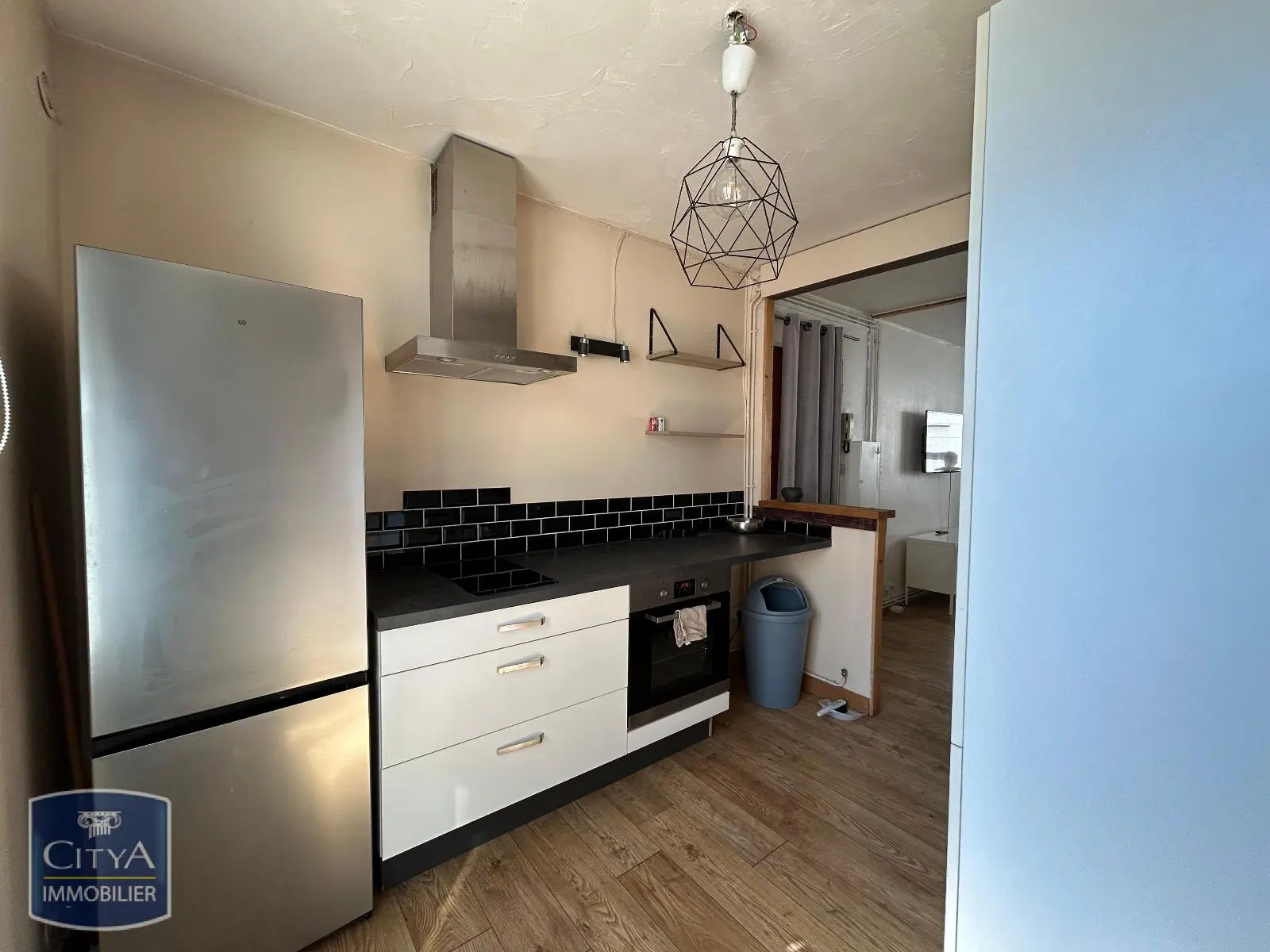 Photo 2 appartement Grenoble