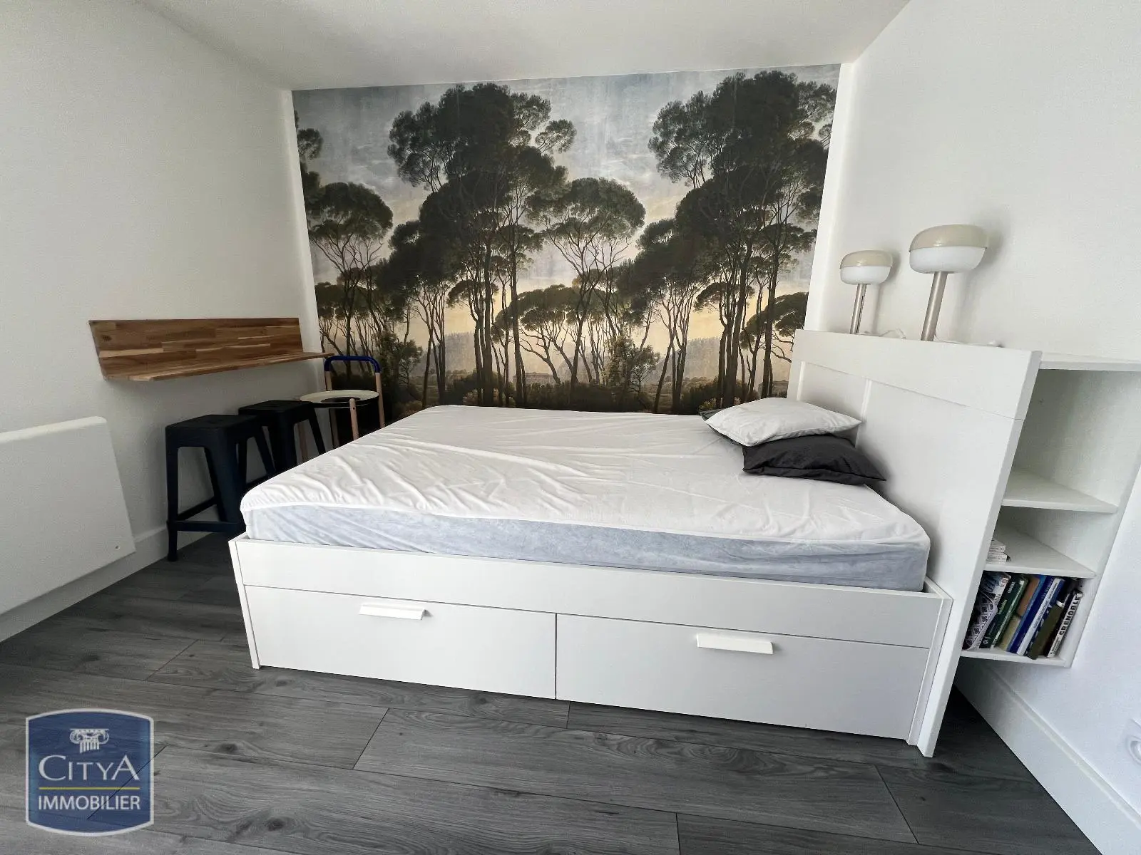Photo 1 appartement Grenoble