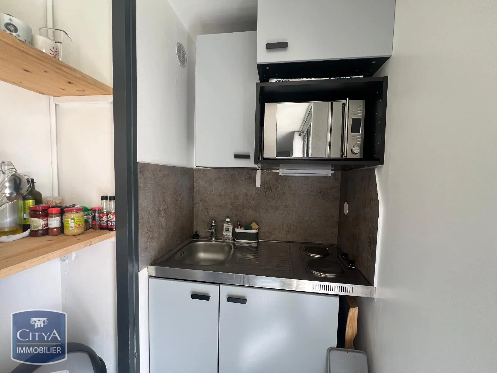 Photo 2 appartement Grenoble