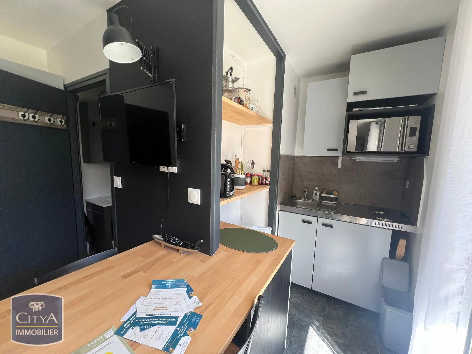 Photo 3 appartement Grenoble
