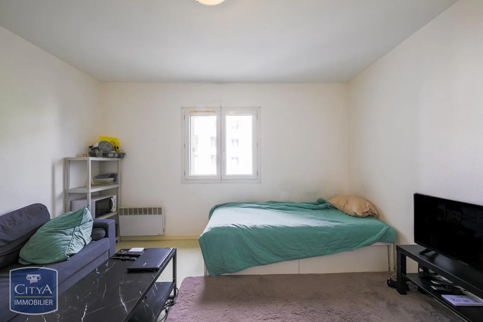 Photo 5 appartement Grenoble