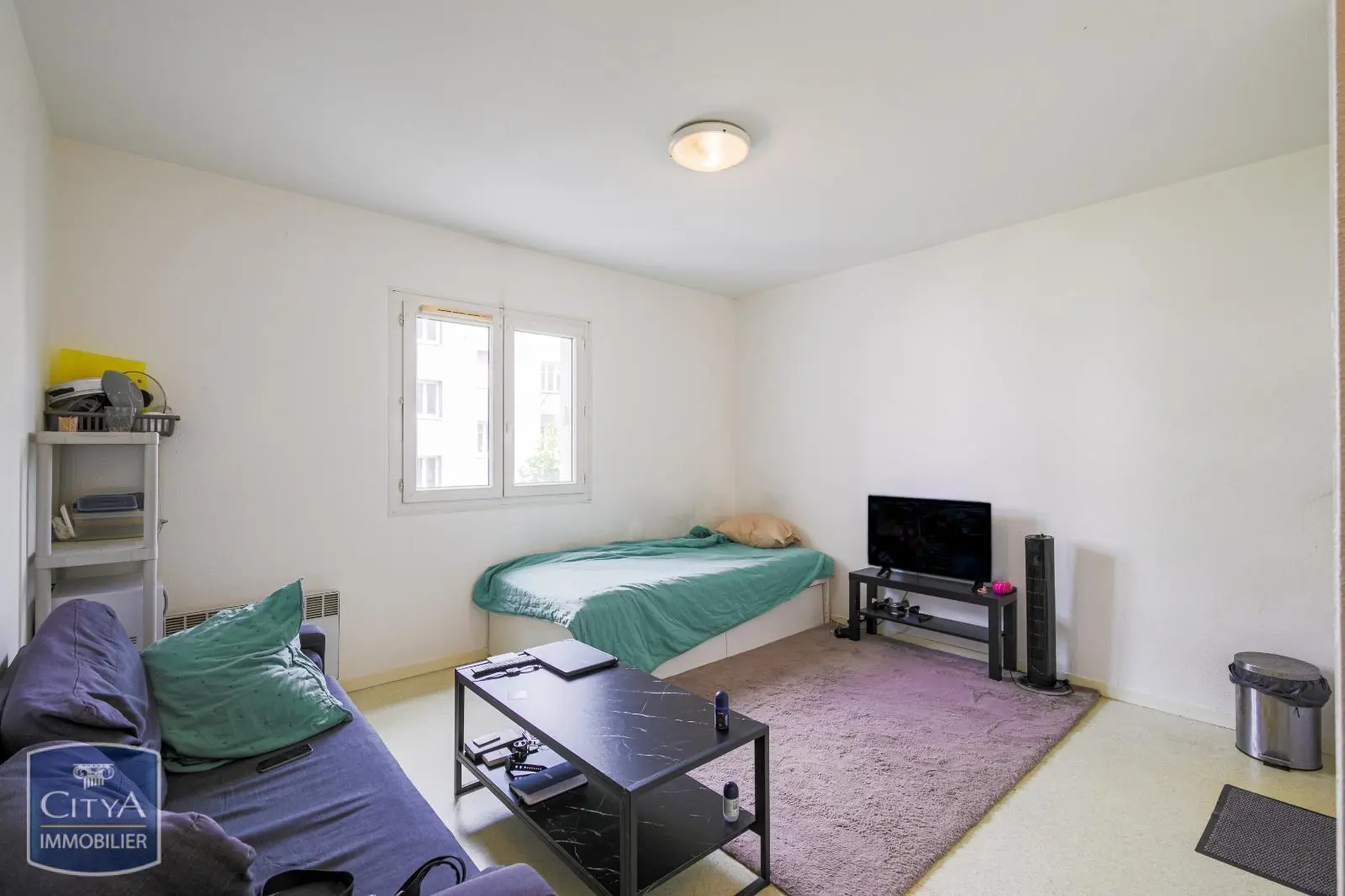 Photo 2 appartement Grenoble