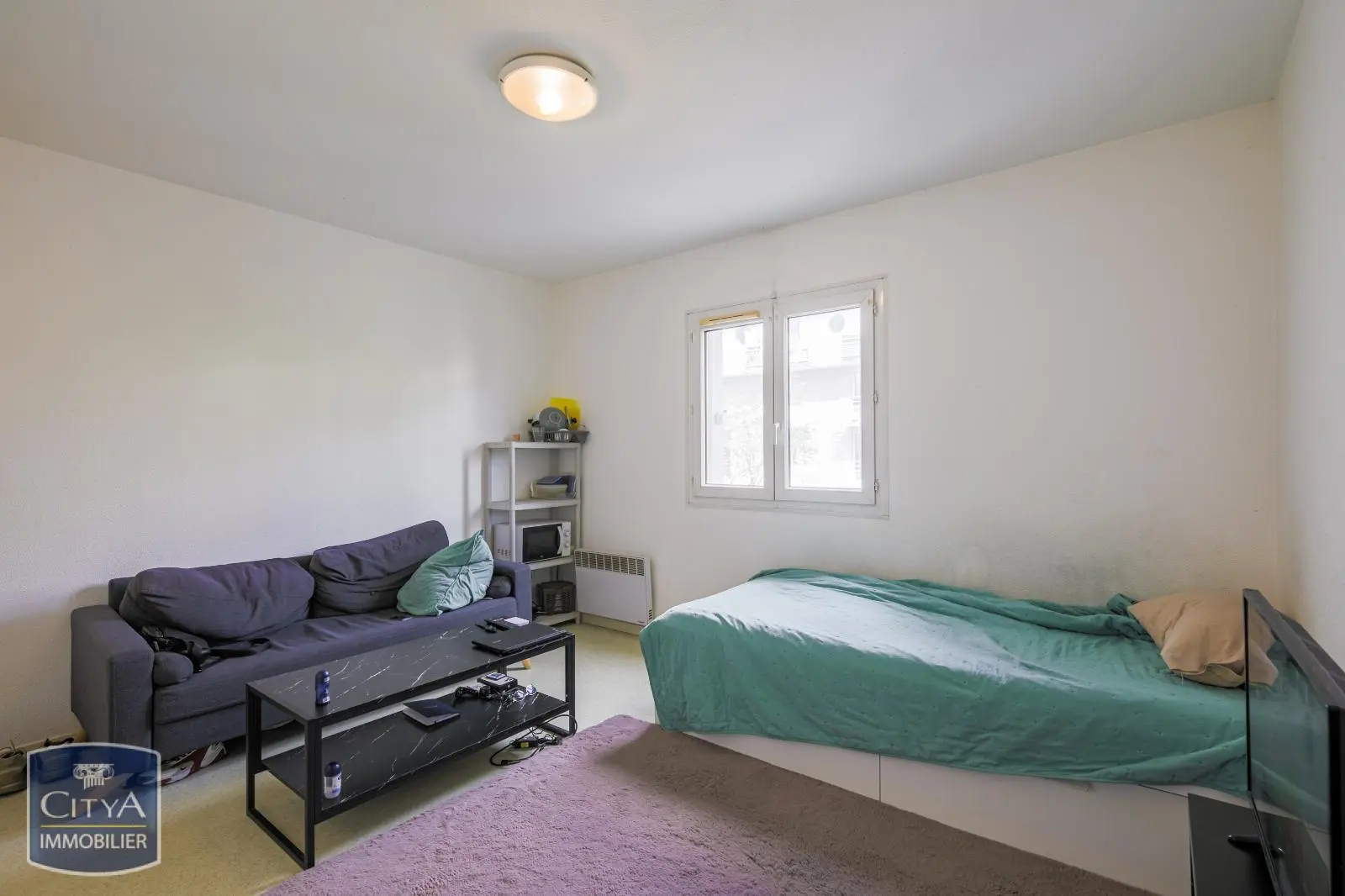 Photo 4 appartement Grenoble