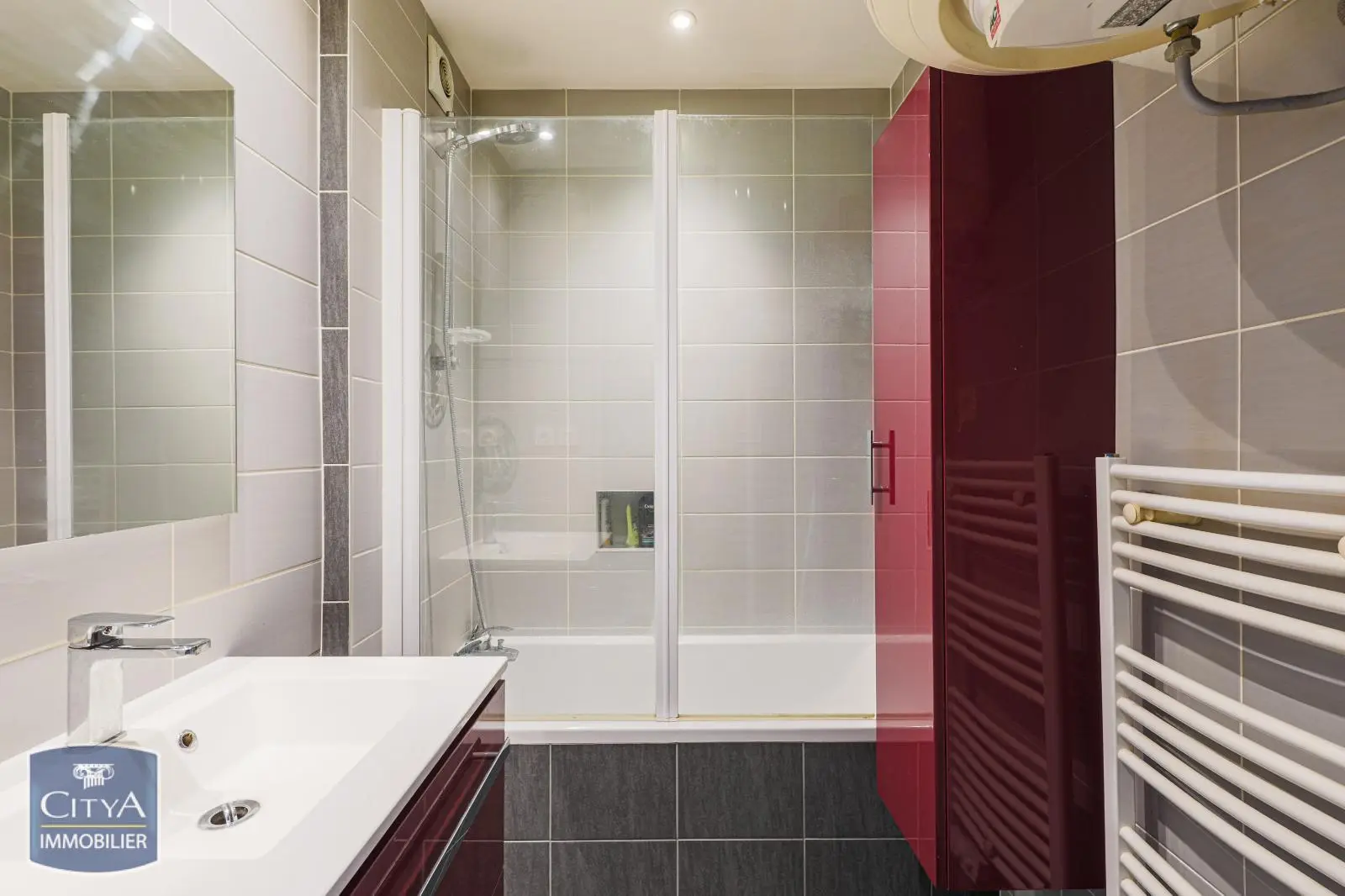 Photo 7 appartement Grenoble