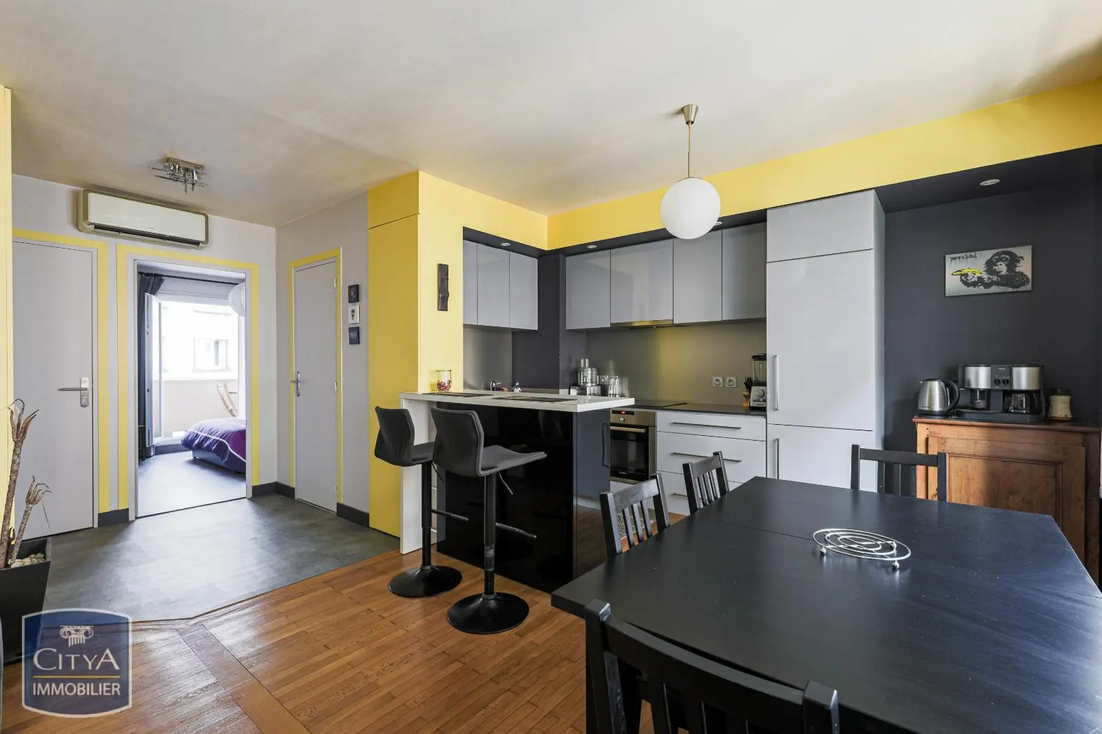 Photo 3 appartement Grenoble