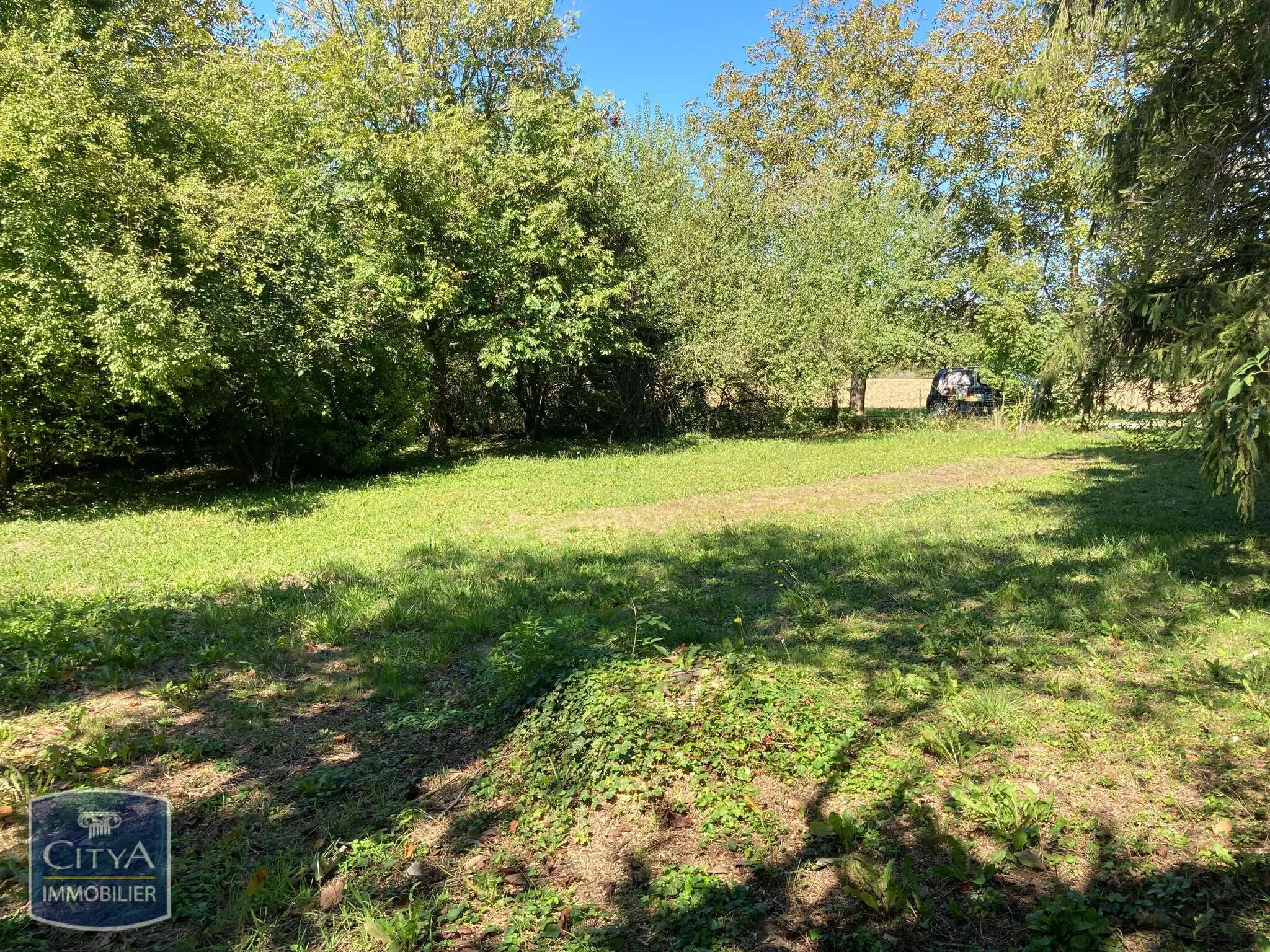 Photo 4 Terrain