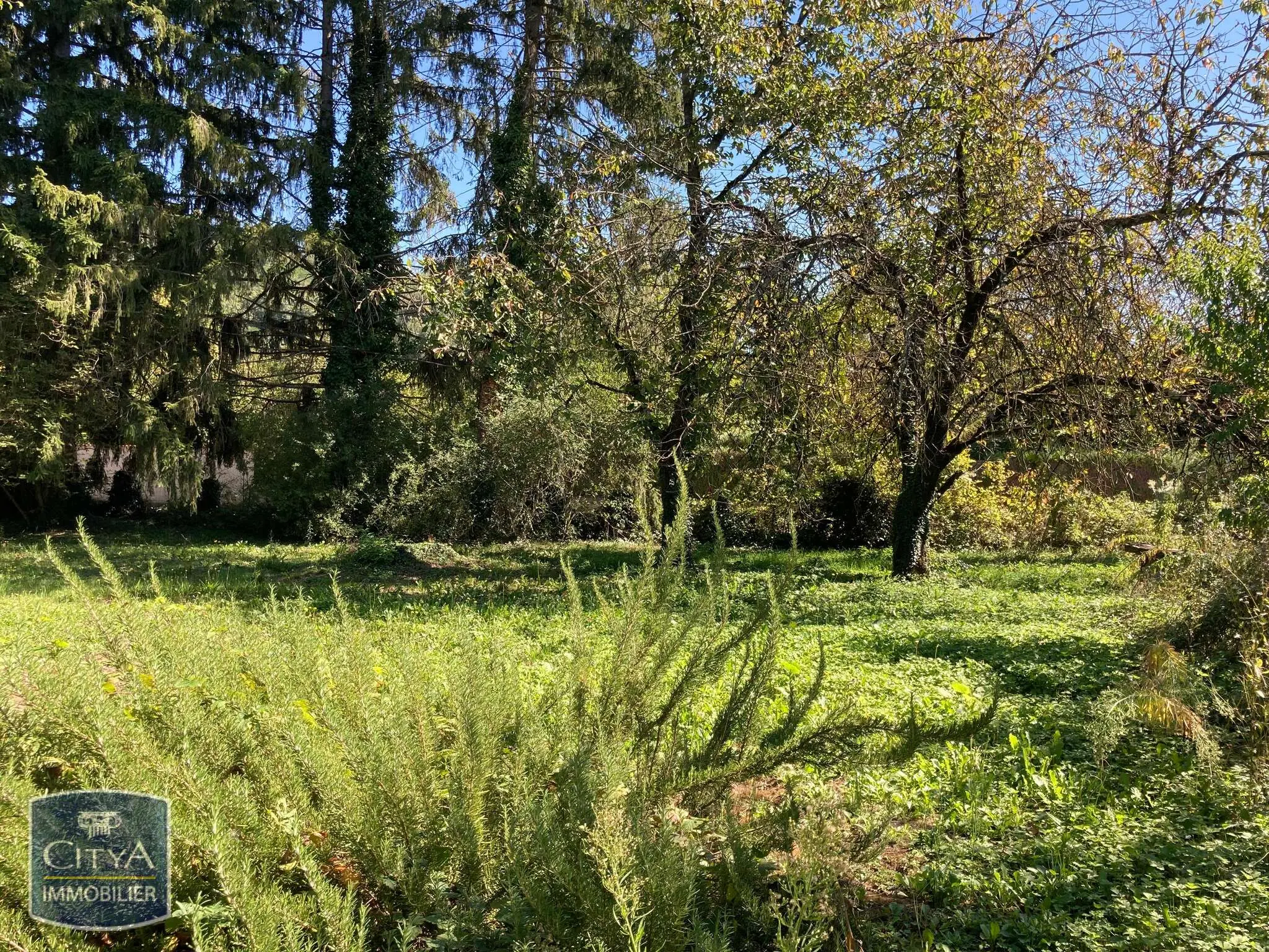 Photo 2 Terrain