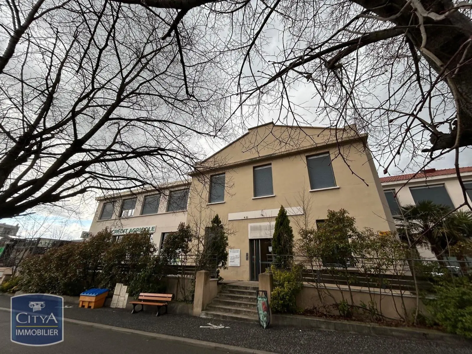 Photo 1 Local Professionnel