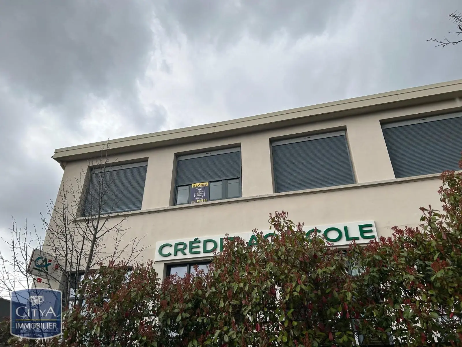 Photo 2 Local Professionnel