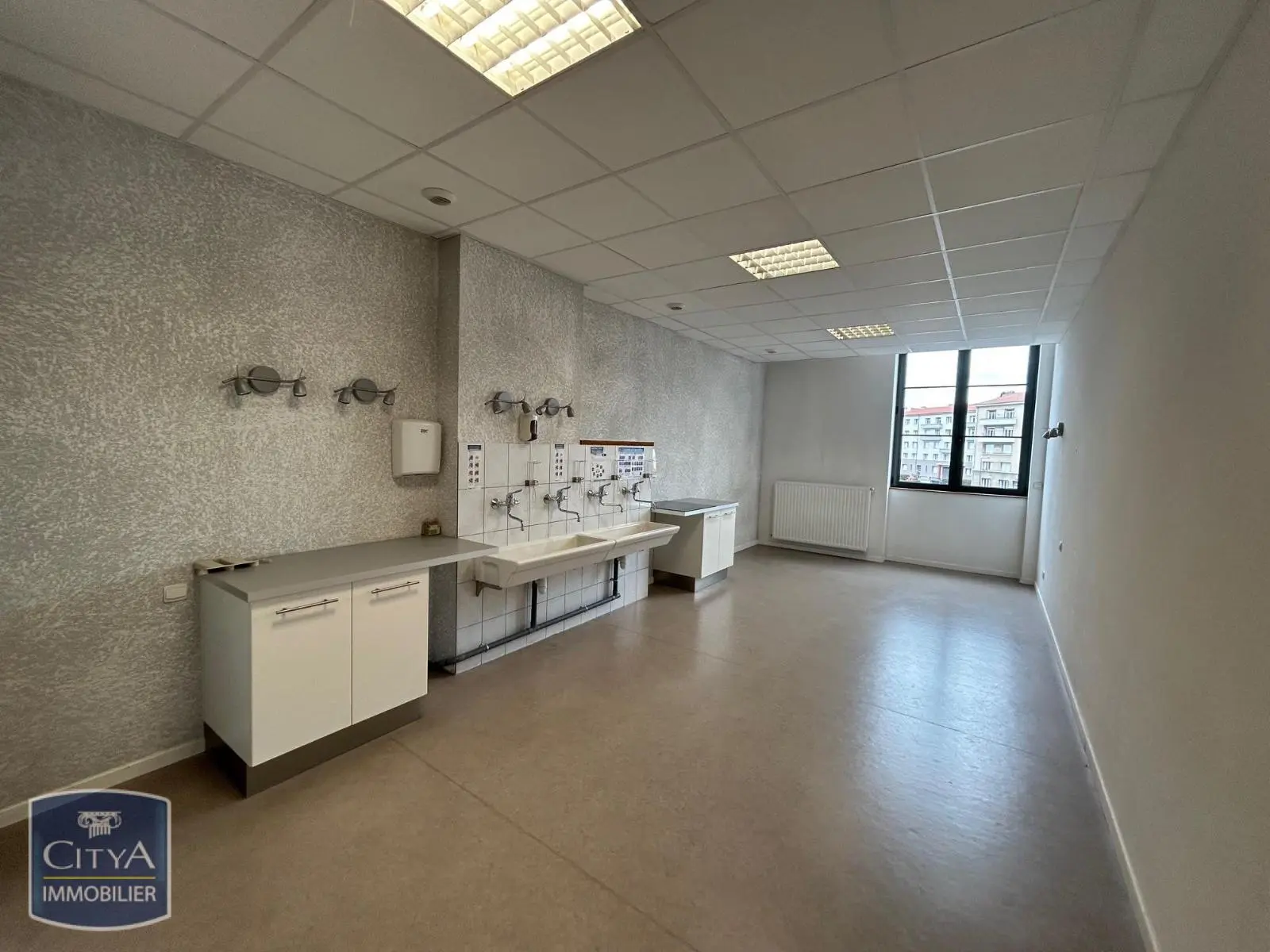 Photo 6 Local Professionnel