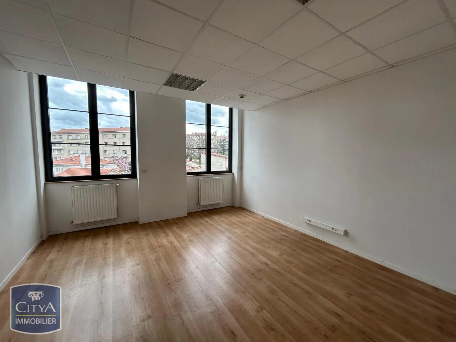 Photo 11 Local Professionnel