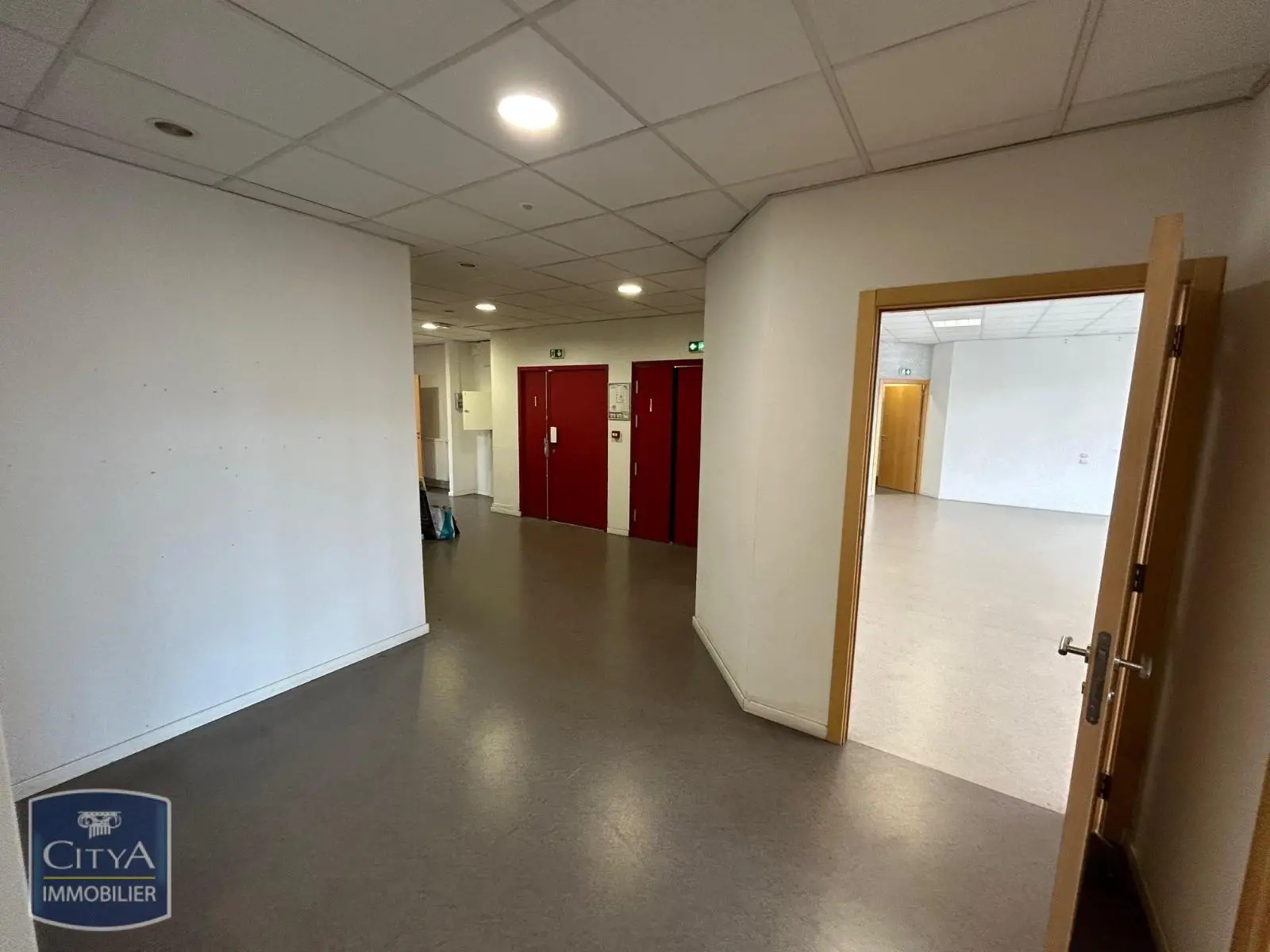 Photo 12 Local Professionnel