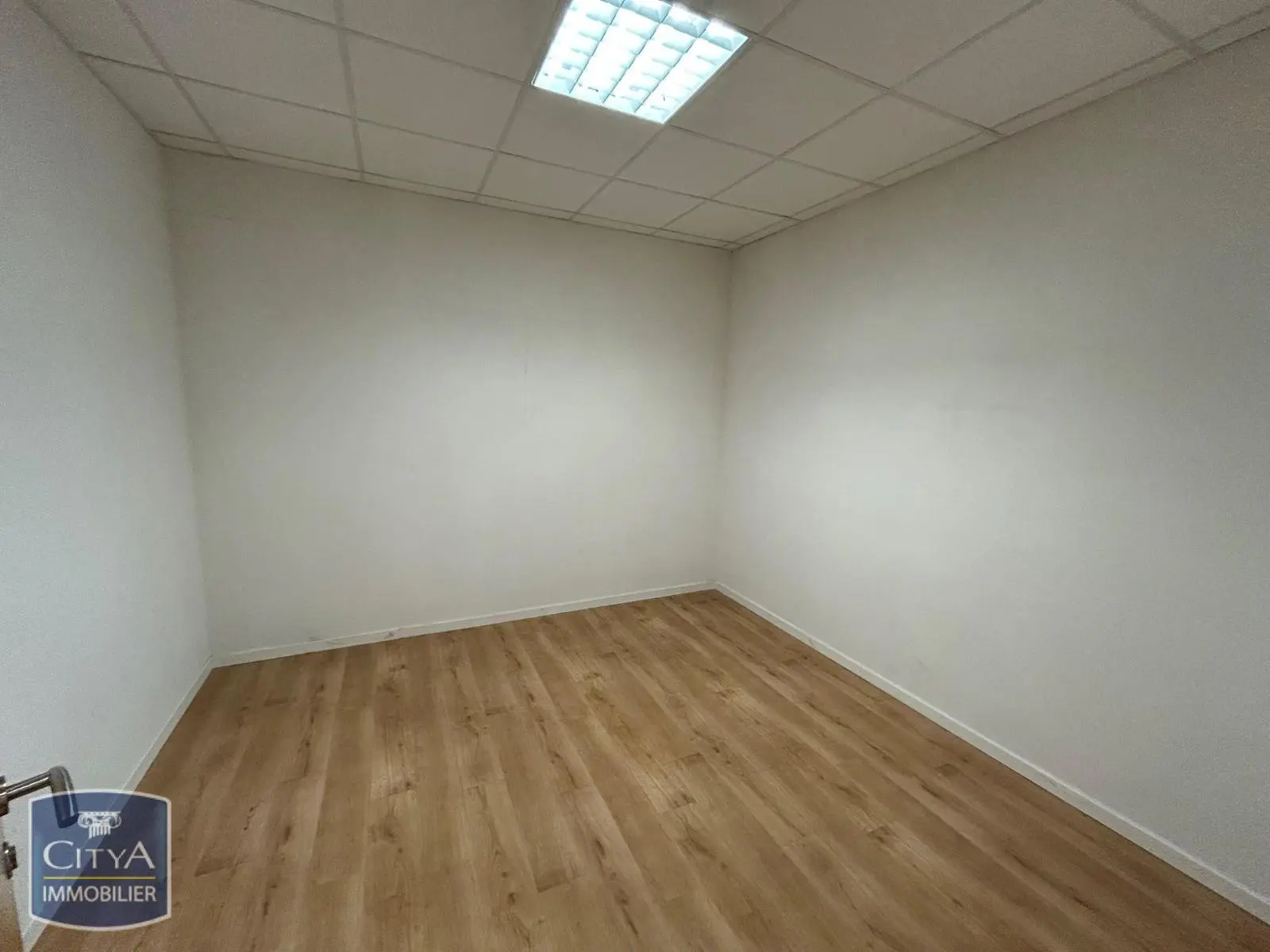 Photo 18 Local Professionnel