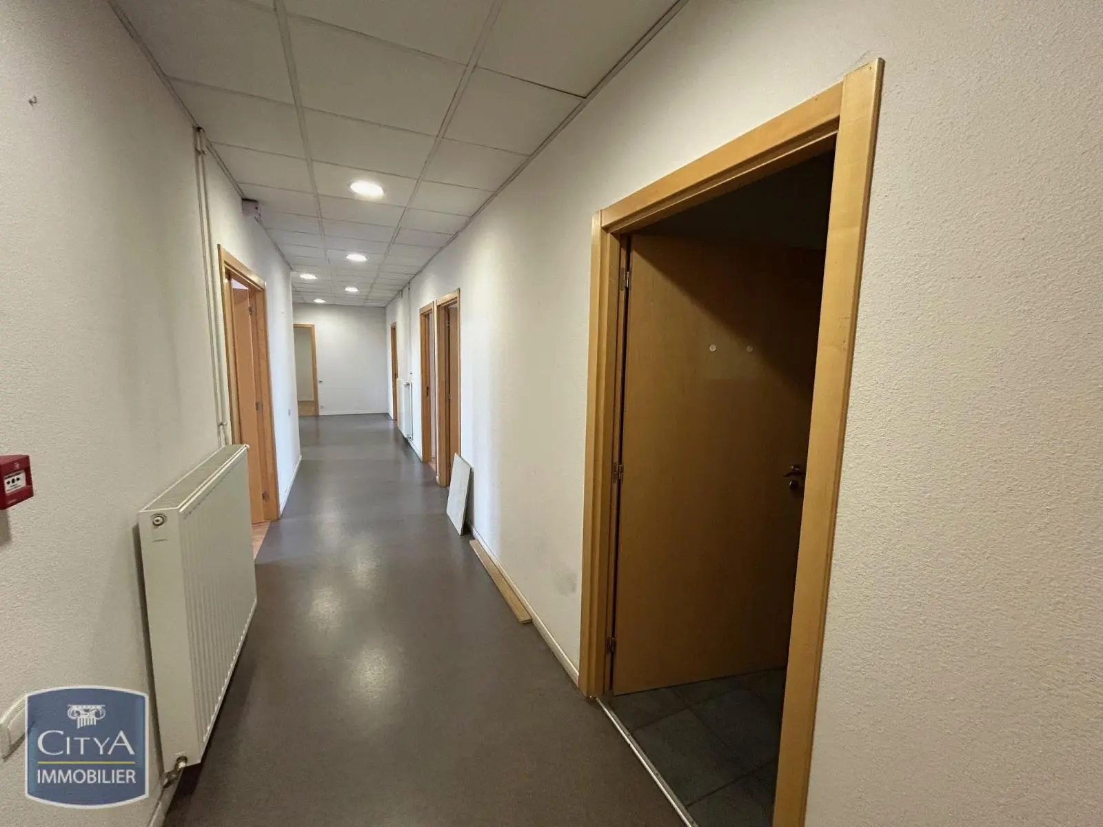 Photo 21 Local Professionnel