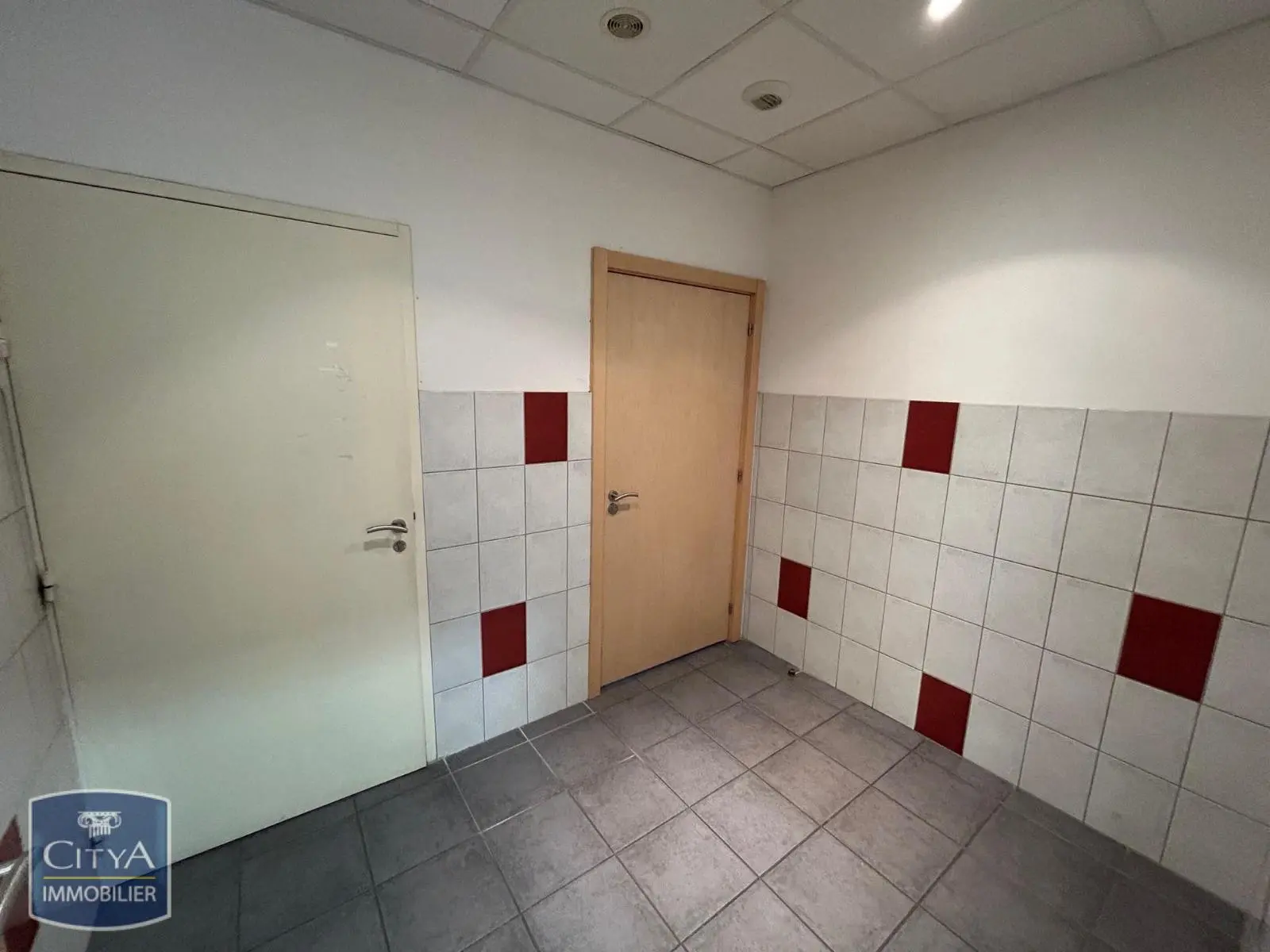 Photo 22 Local Professionnel