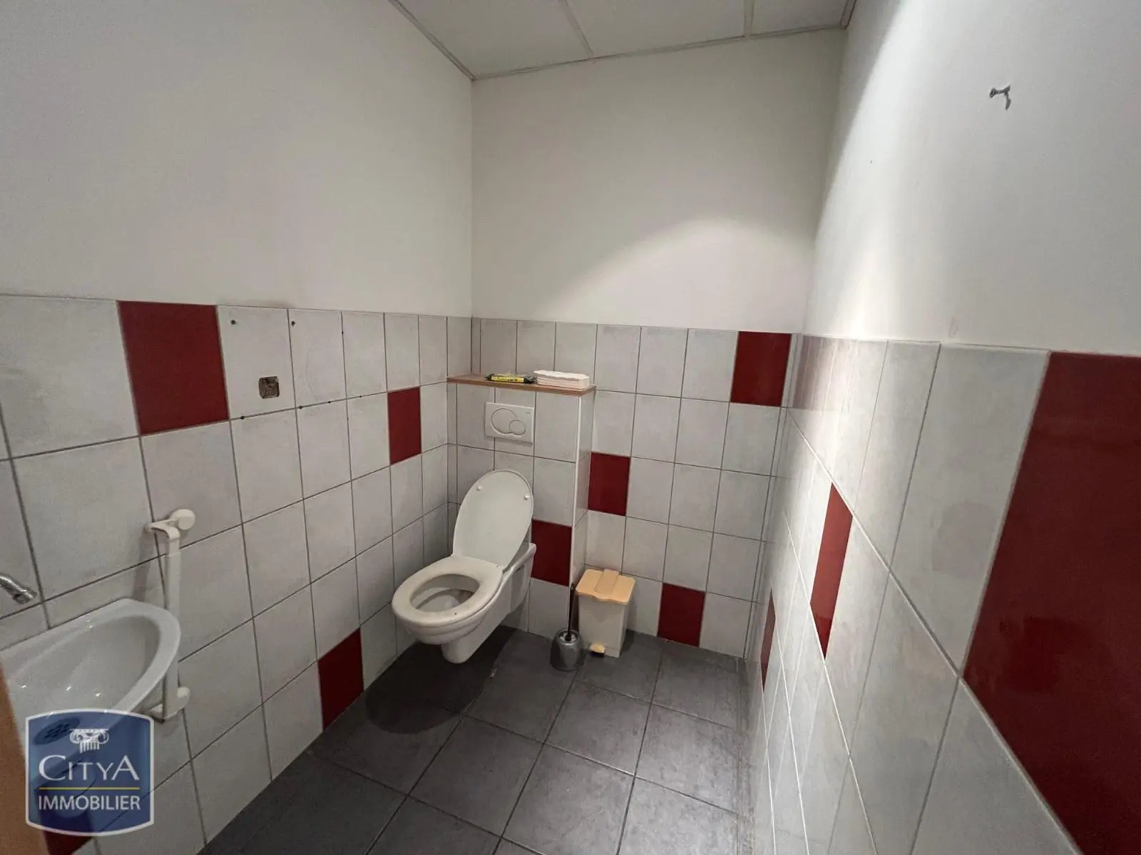 Photo 23 Local Professionnel