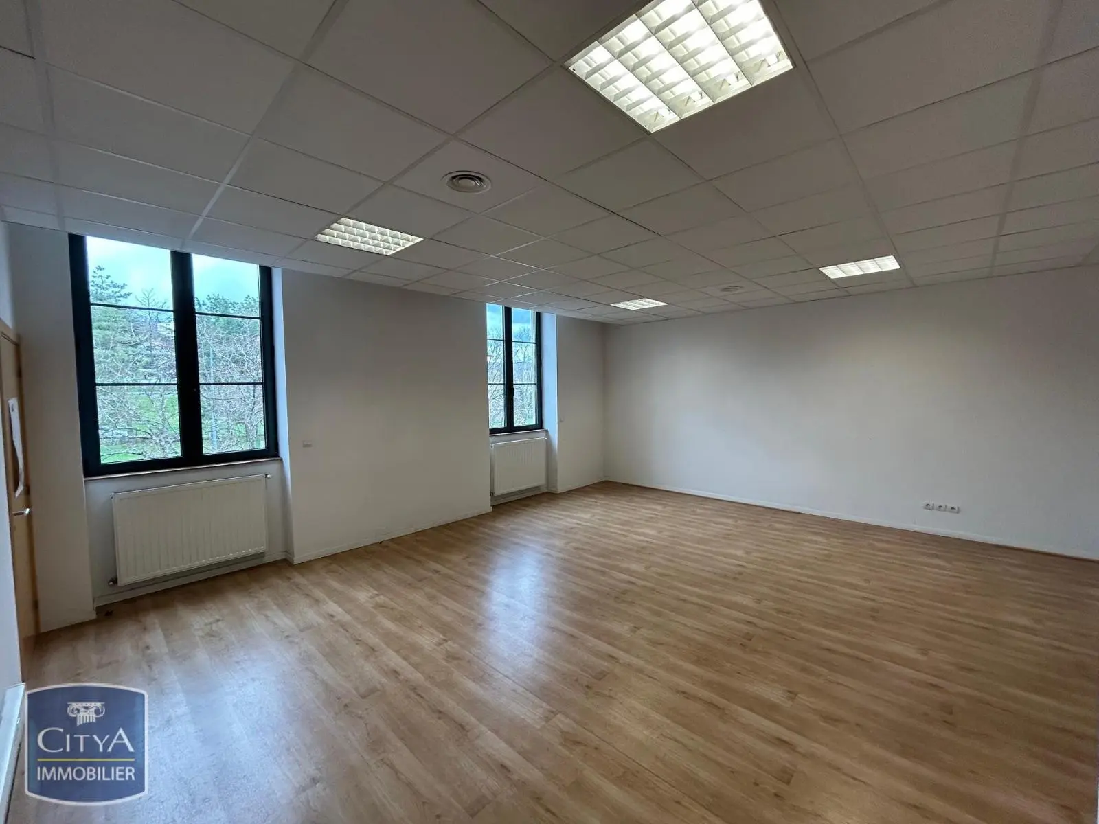 Photo 9 Local Professionnel