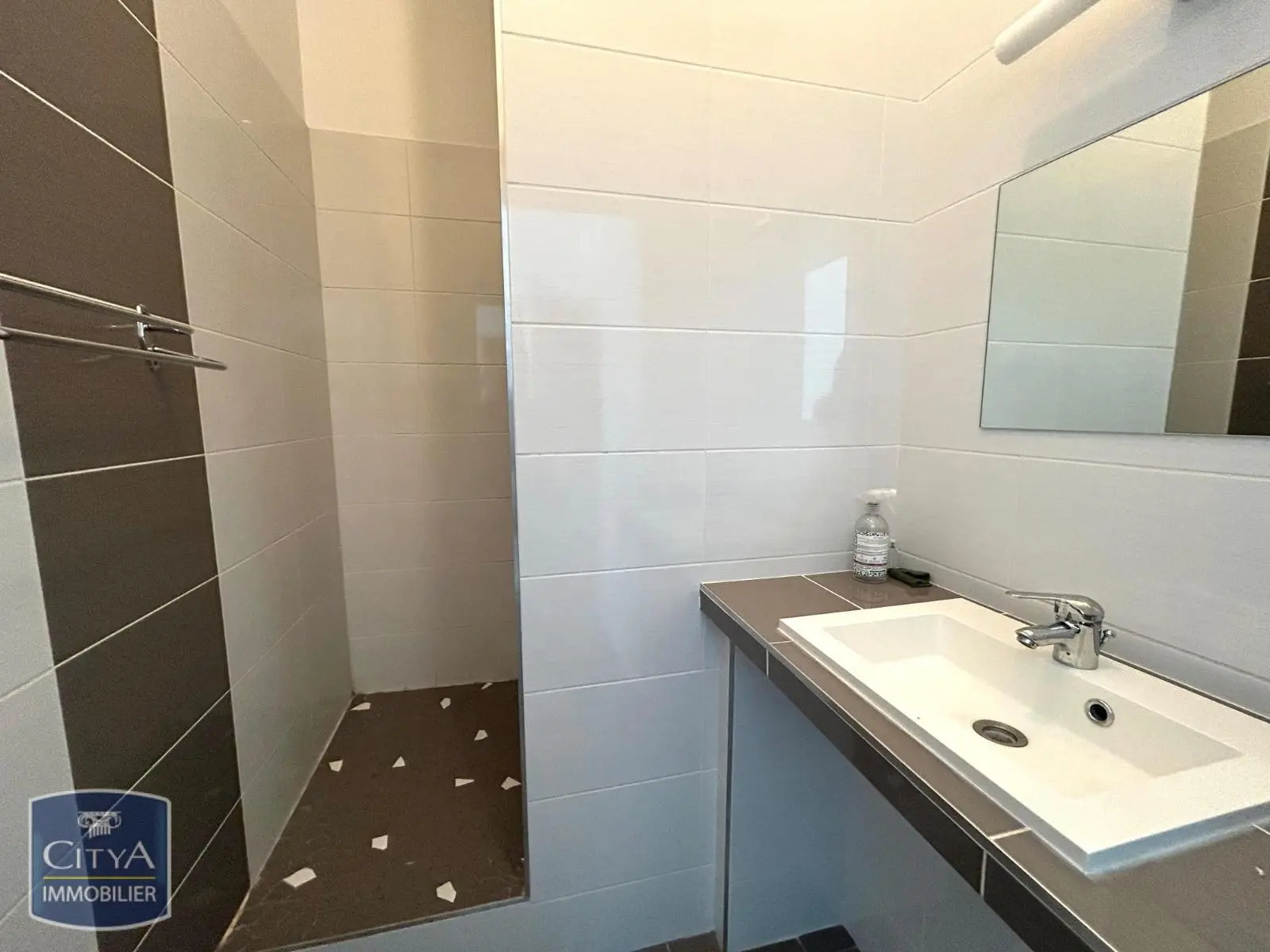 Photo 6 appartement Saint-Étienne