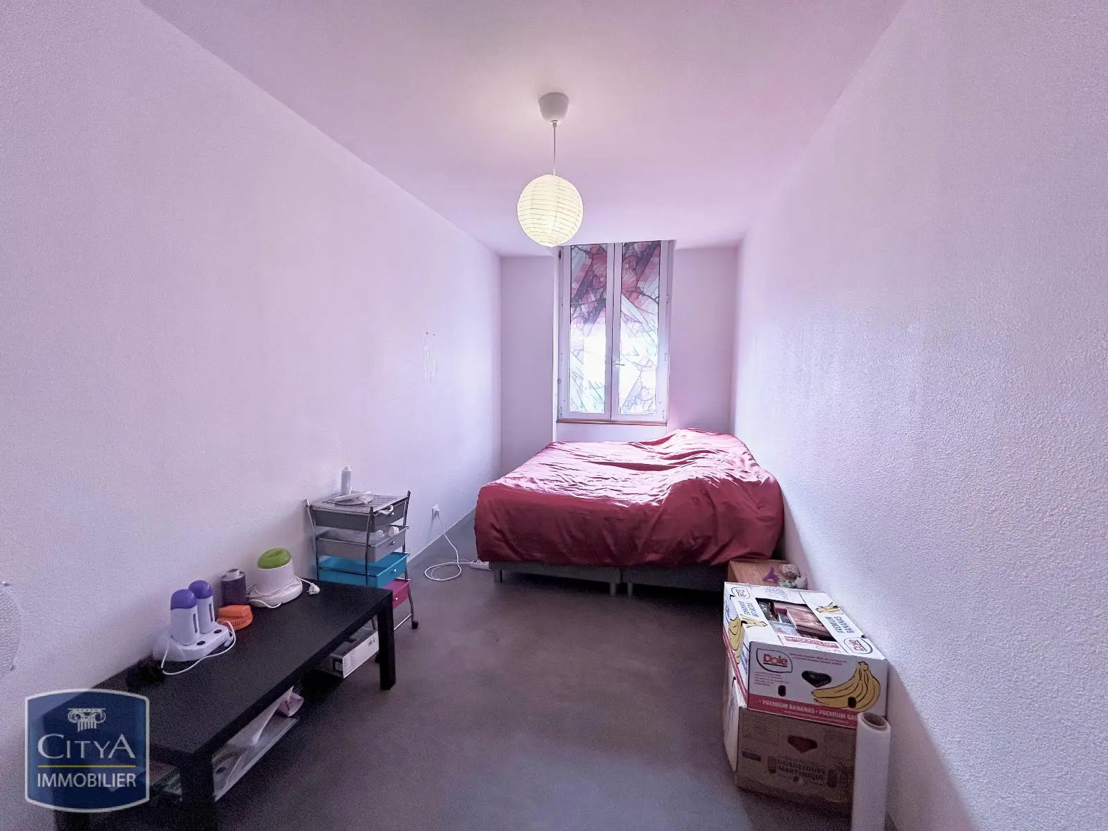 Photo 7 appartement Saint-Étienne
