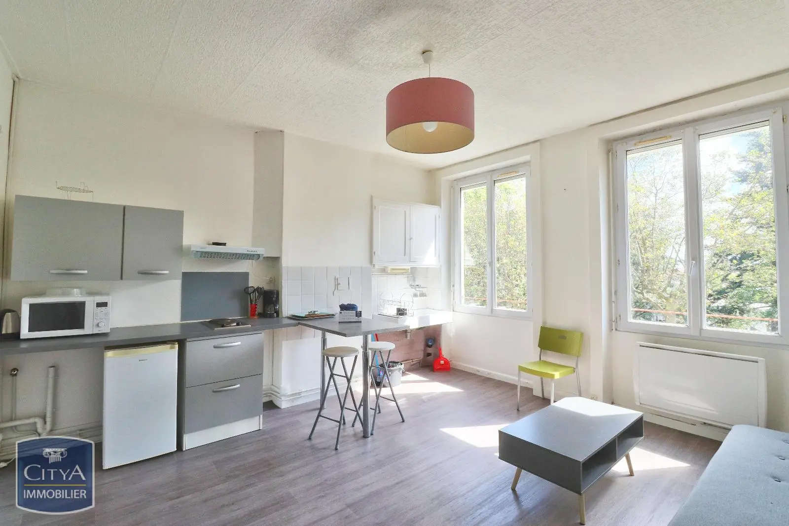 Photo 2 appartement Saint-Étienne