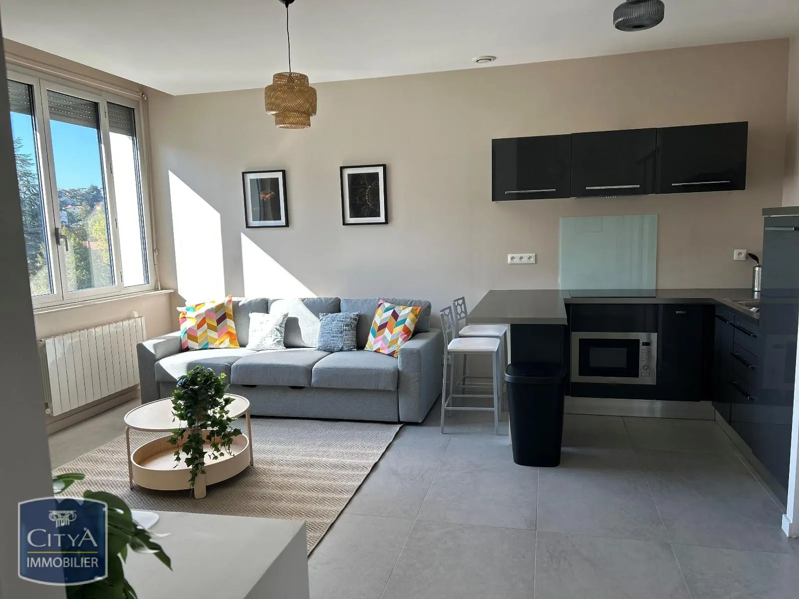 Photo 3 Appartement 1 pièce 33.18m²