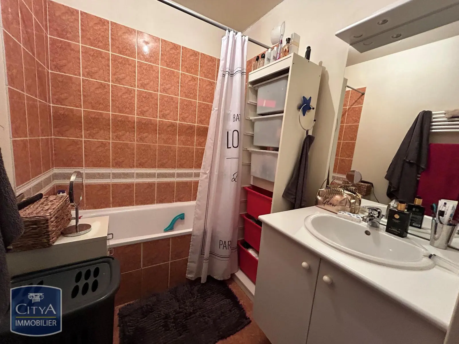 Photo 6 appartement Saint-Étienne