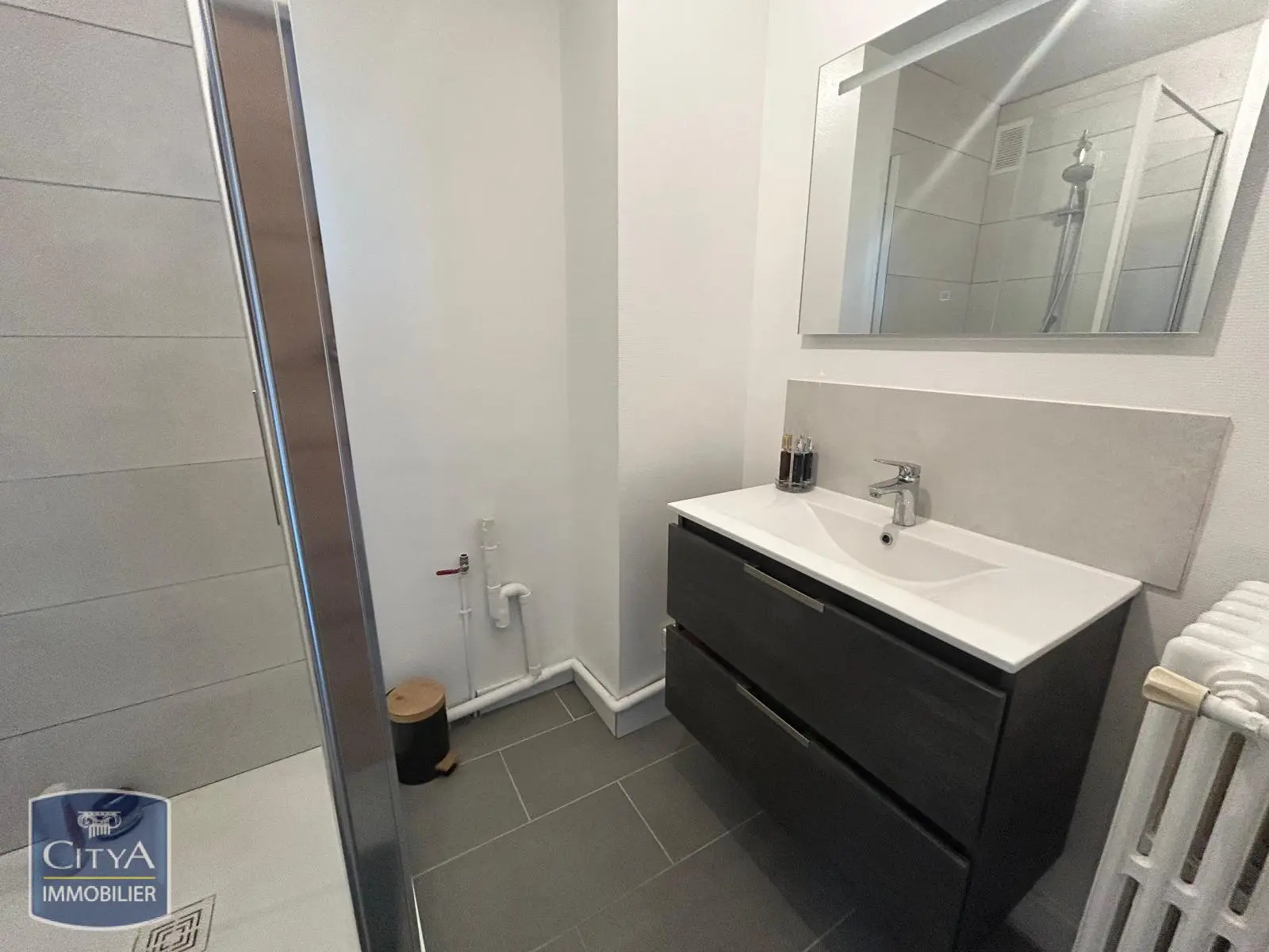 Photo 9 appartement Saint-Étienne