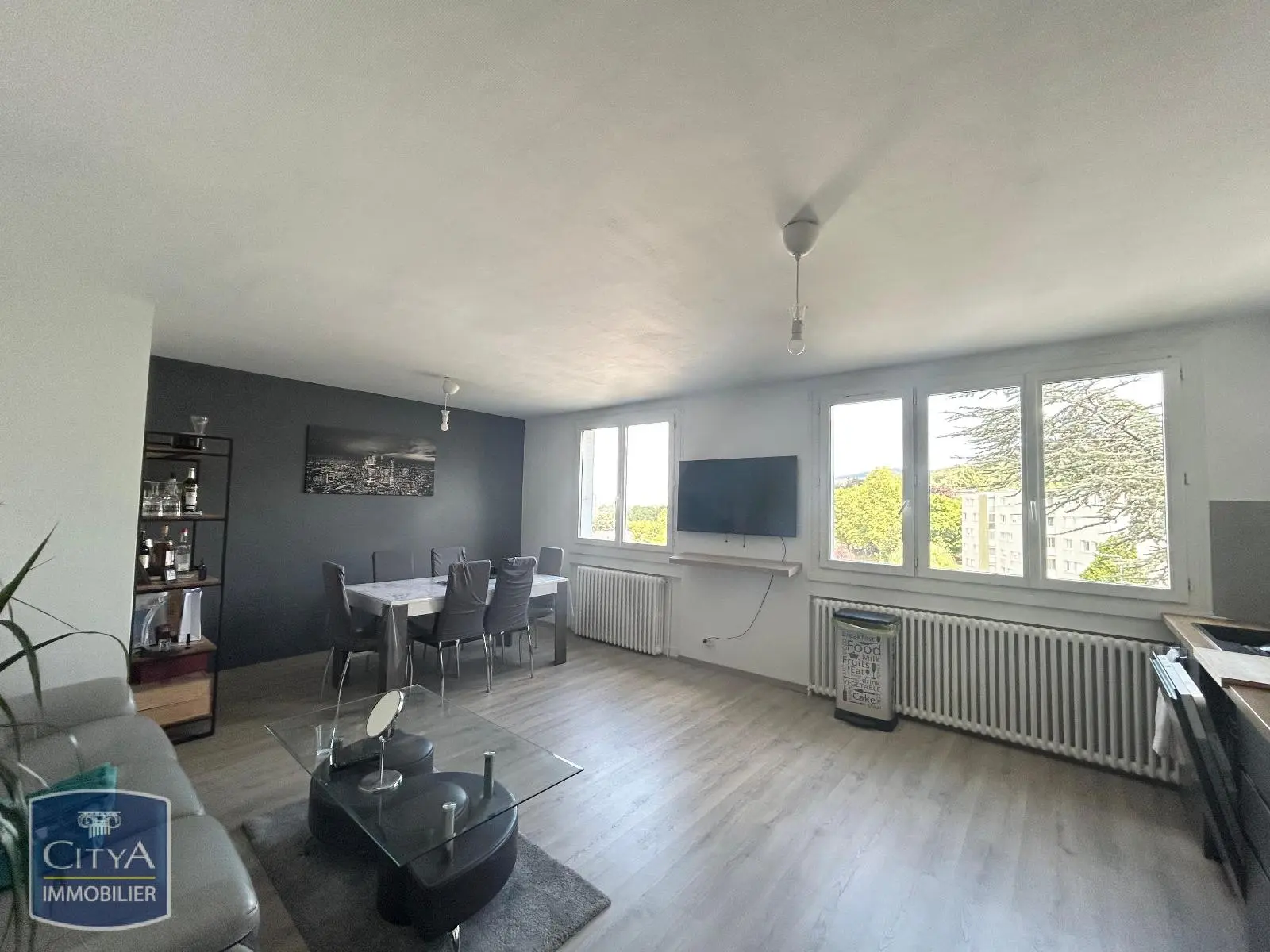 Photo 3 appartement Saint-Étienne