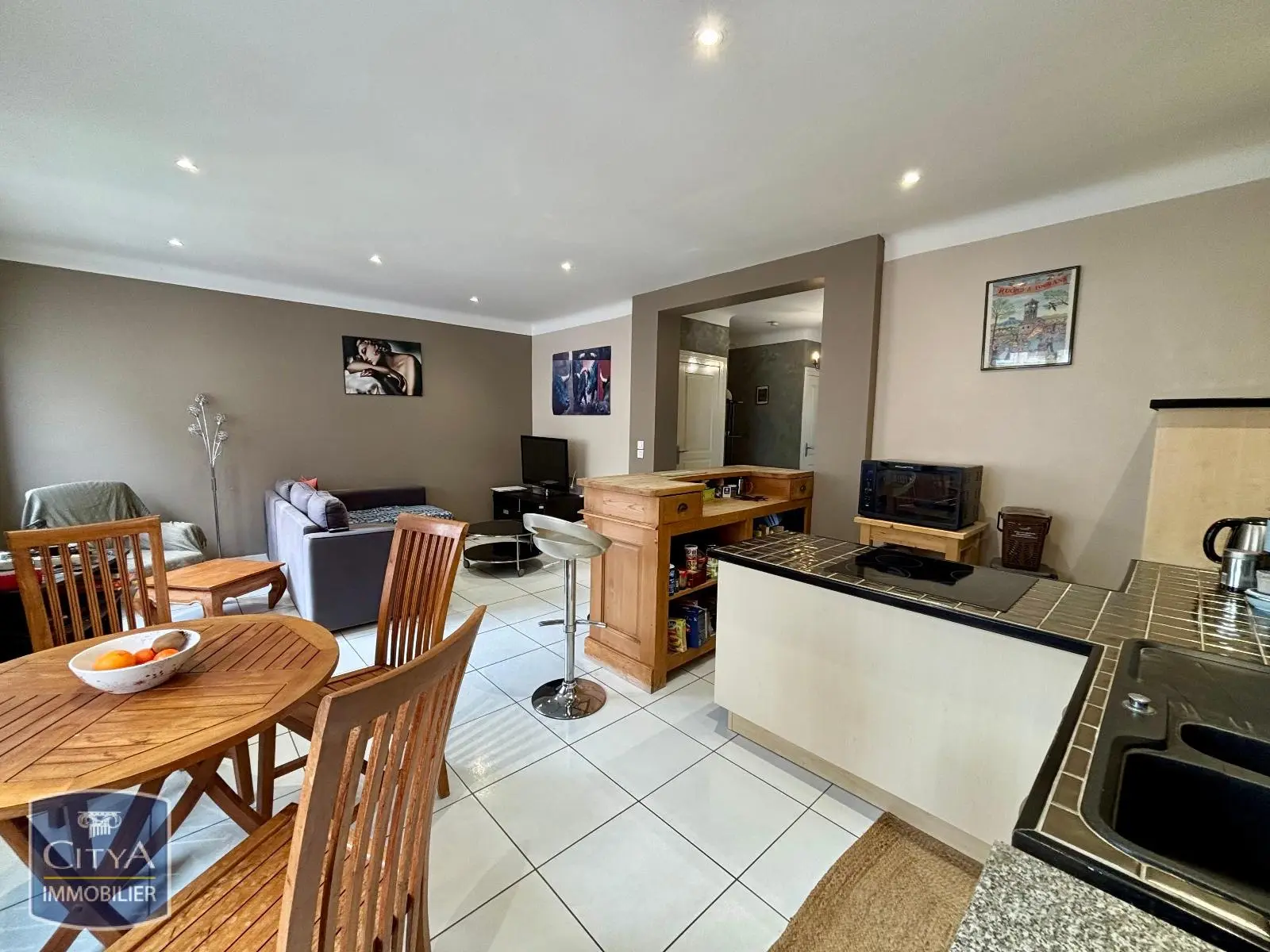 Photo 3 appartement Saint-Étienne