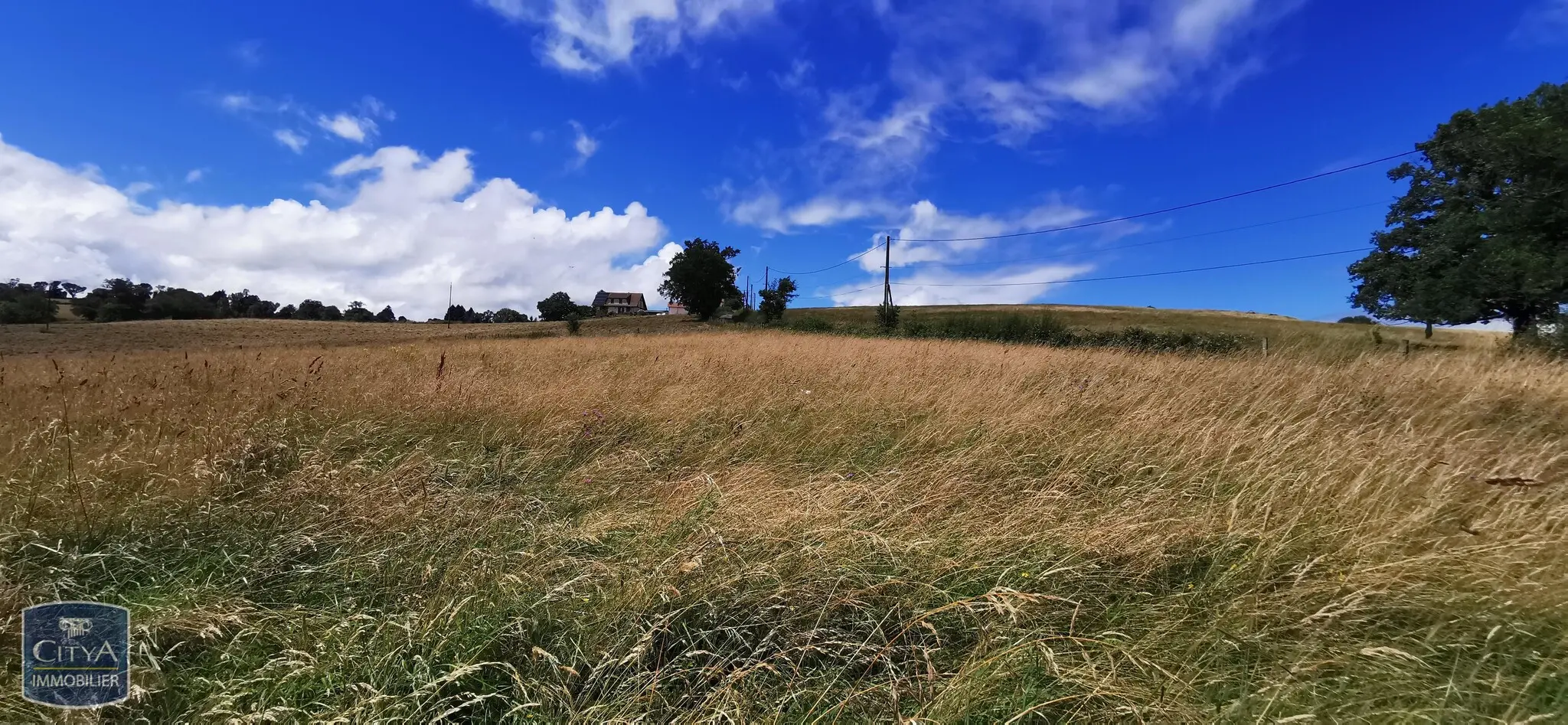 Photo 2 Terrain