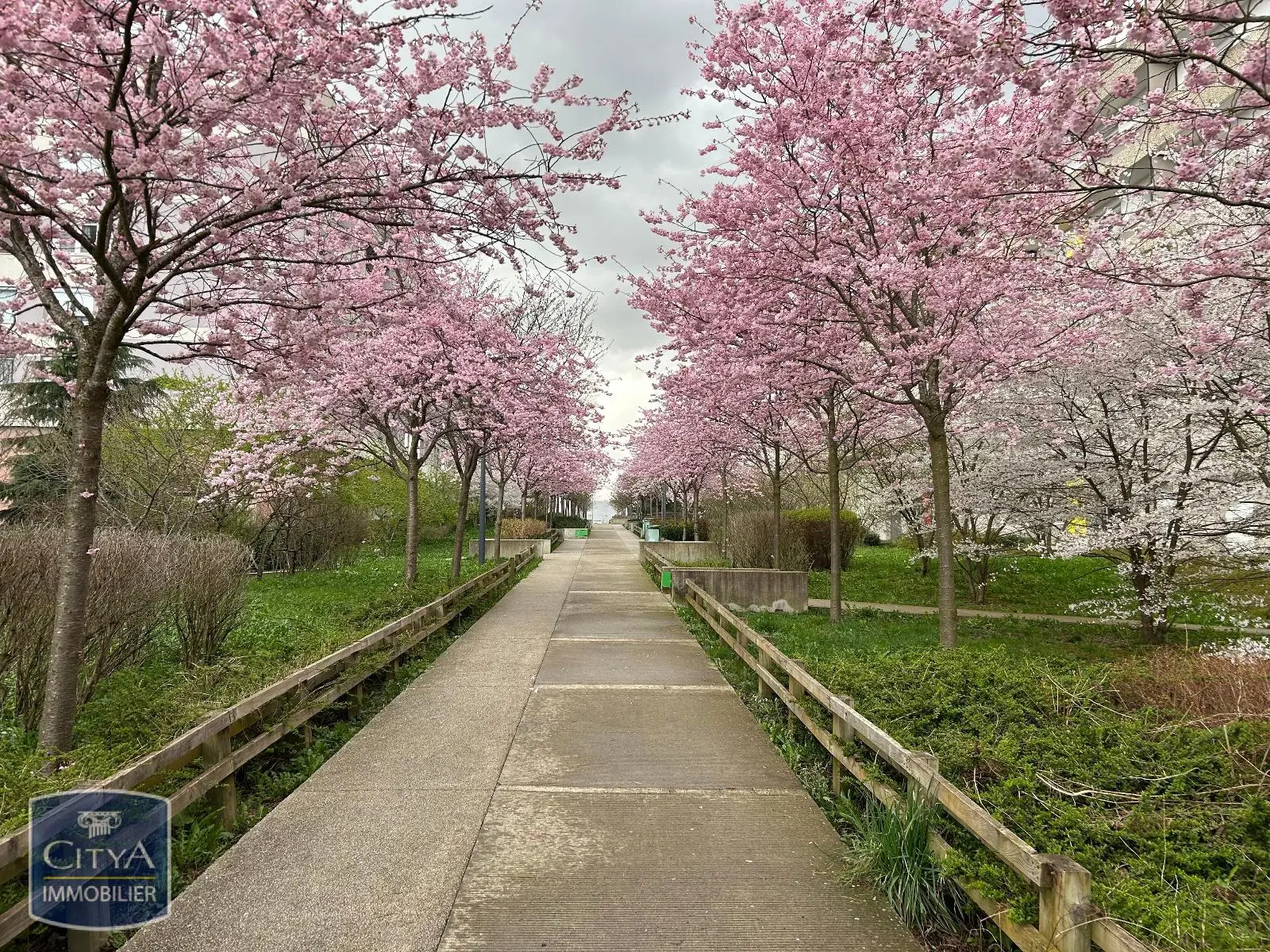Photo 6 Appartement 1 pièce 36.02m²