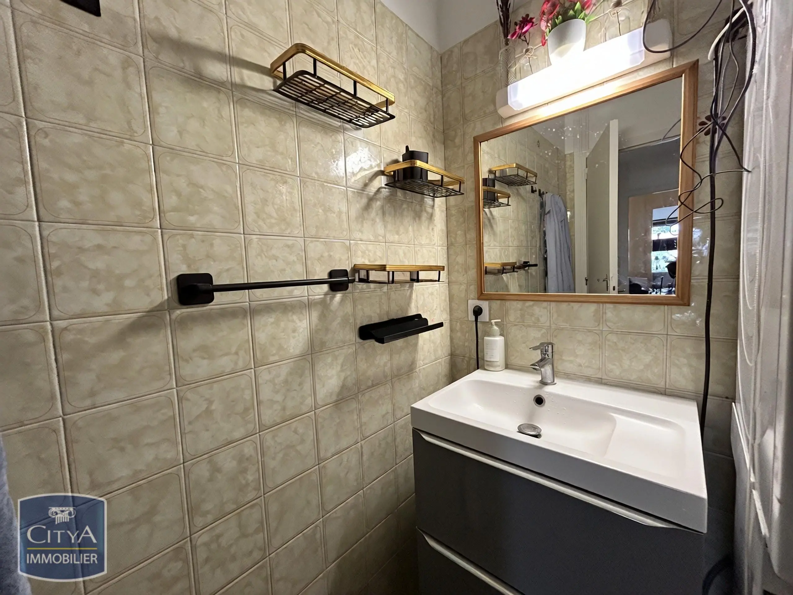 Photo 5 appartement Saint-Julien-en-Genevois