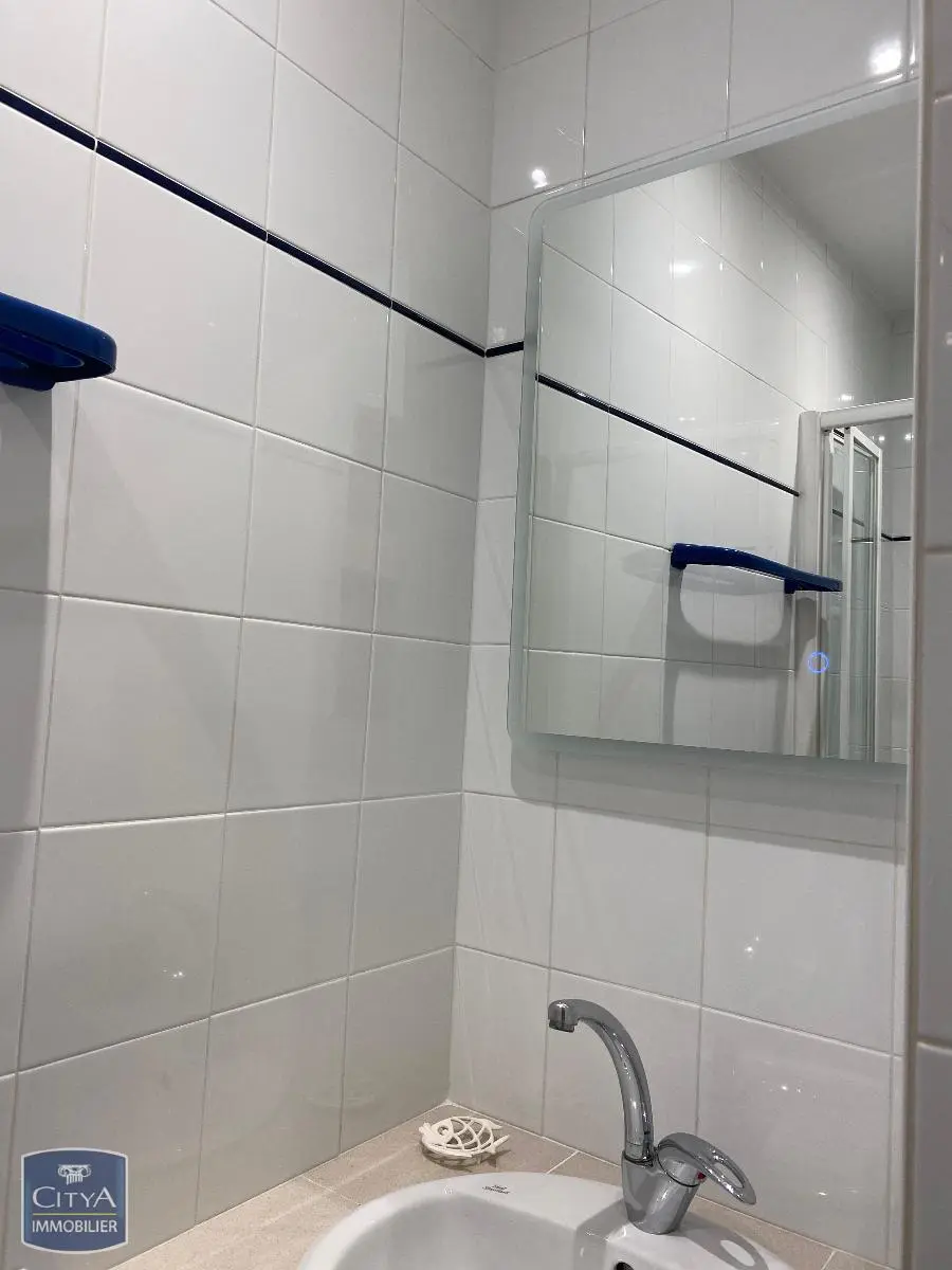 Photo 4 appartement Lyon 8e Arrondissement