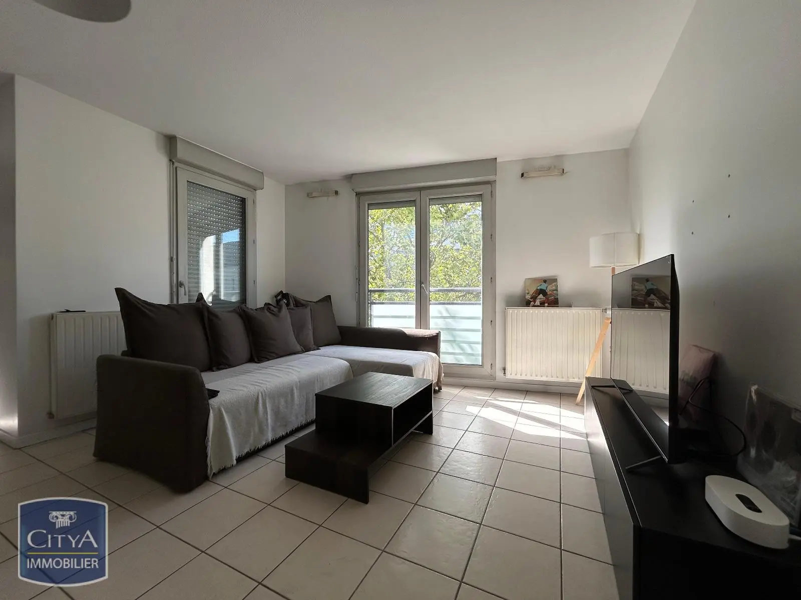 Photo 1 appartement Villeurbanne