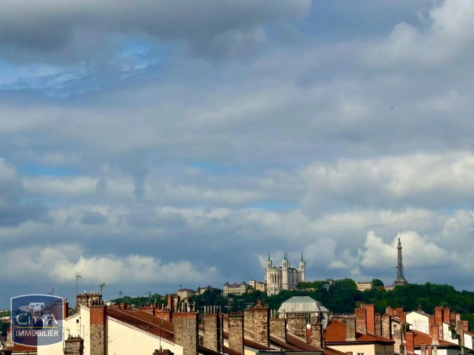 Photo 3 appartement Lyon 6e Arrondissement