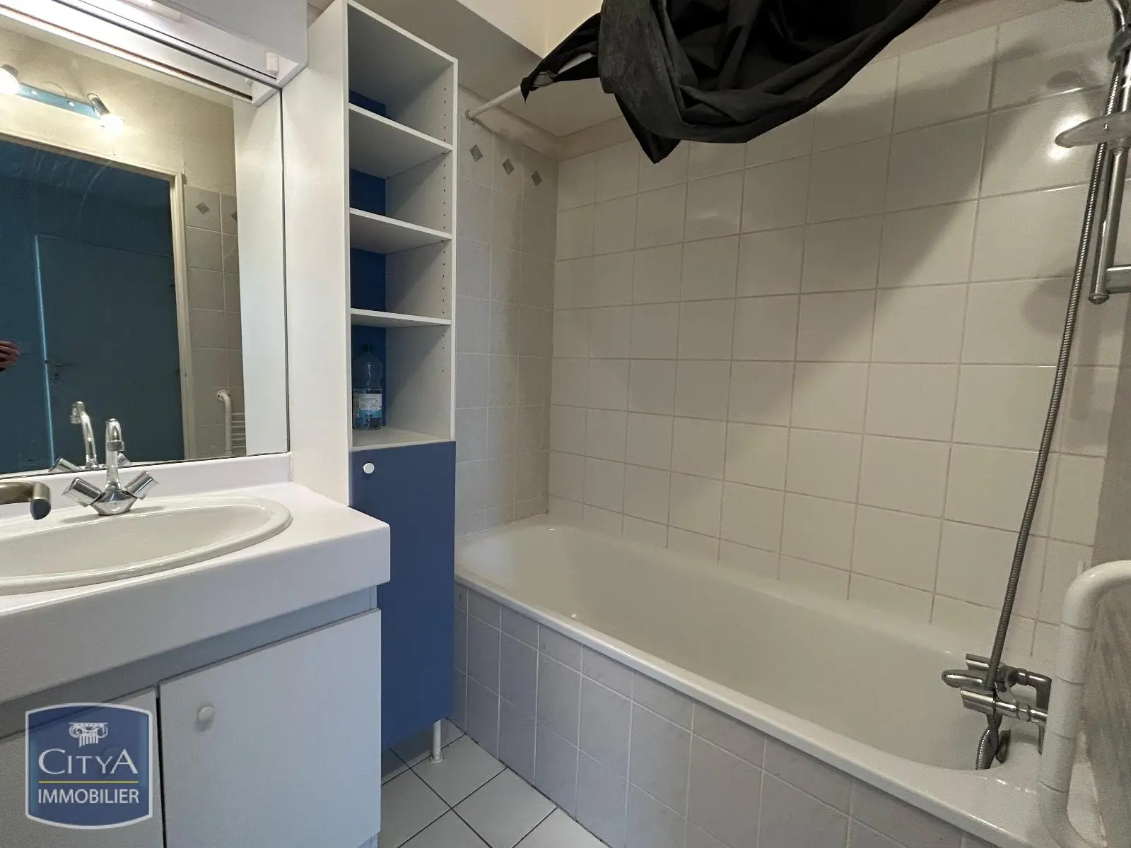 Photo 5 appartement Lyon 8e Arrondissement