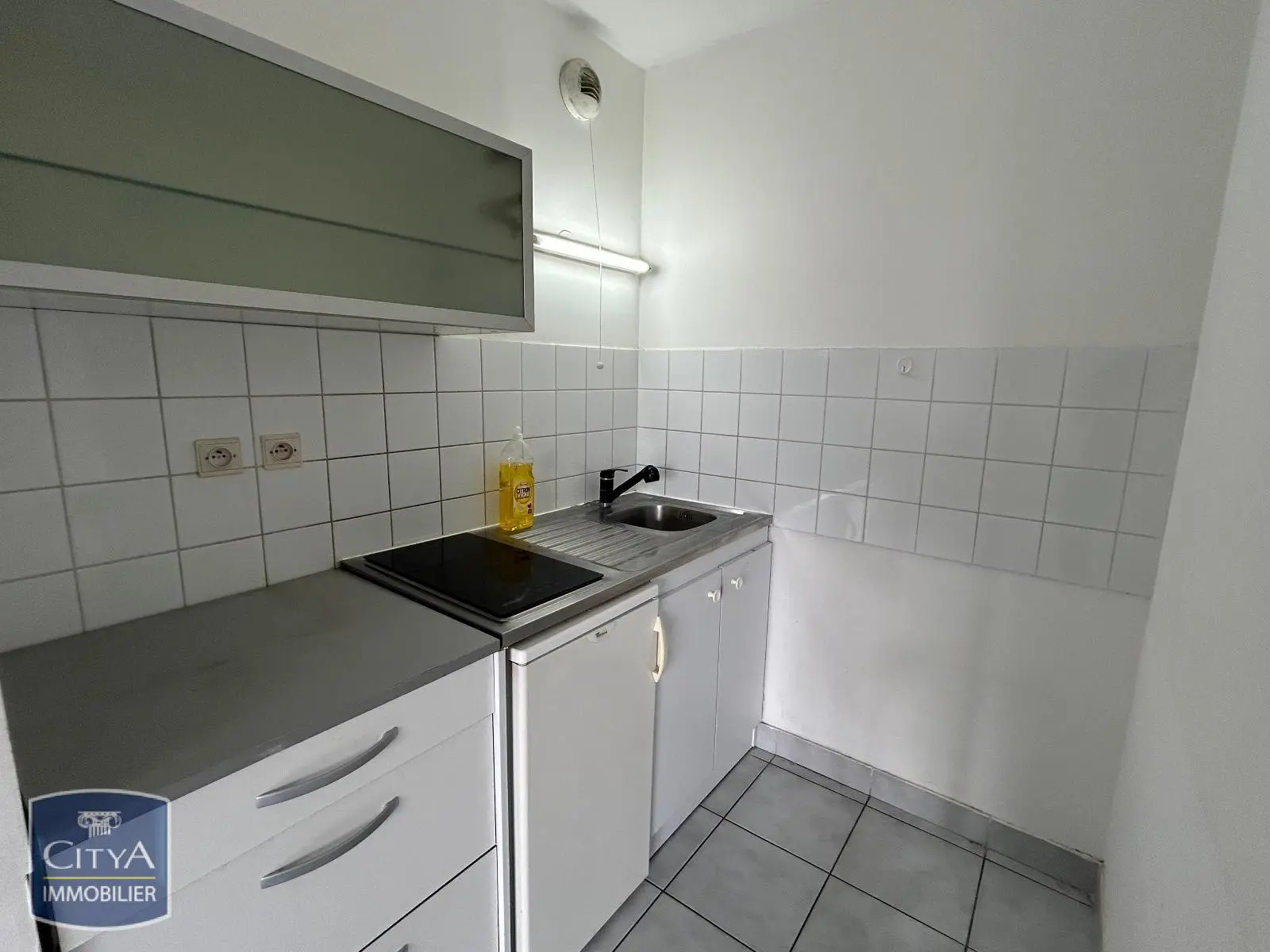 Photo 2 appartement Lyon 8e Arrondissement