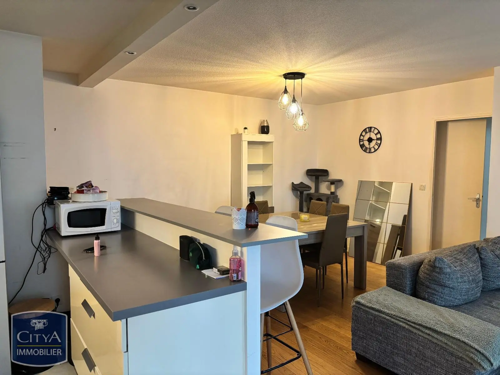 Photo 1 appartement Lyon 9e Arrondissement