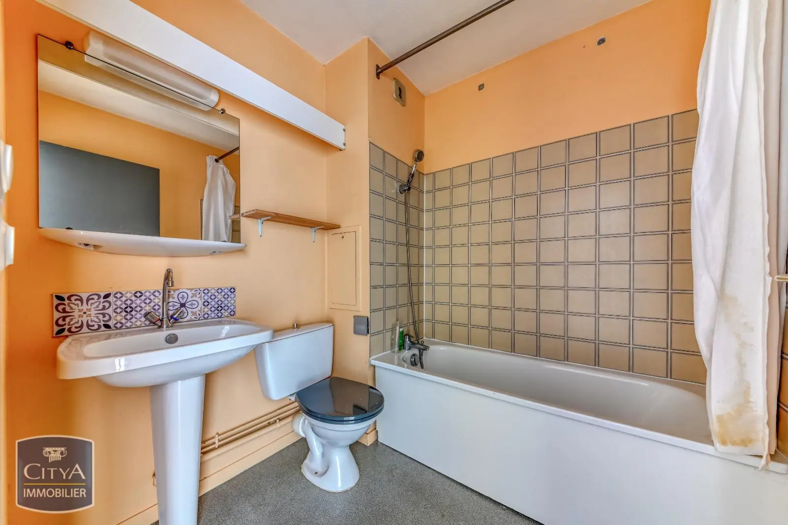 Photo 6 appartement Lyon 8e Arrondissement