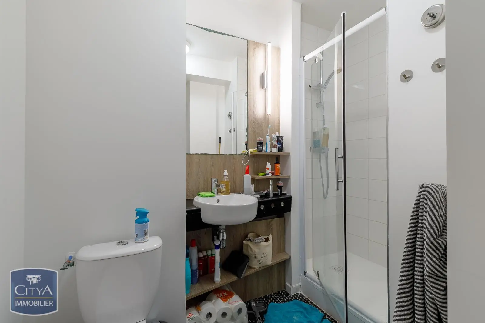 Photo 7 appartement Lyon 7e Arrondissement