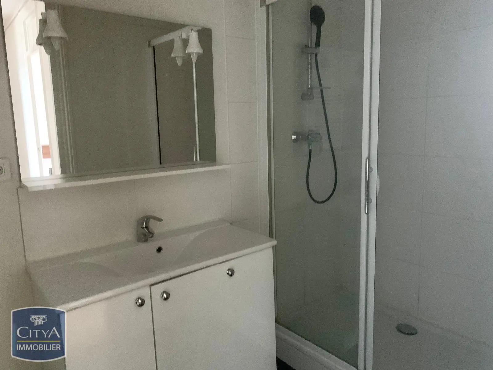 Photo 5 appartement Lyon 7e Arrondissement