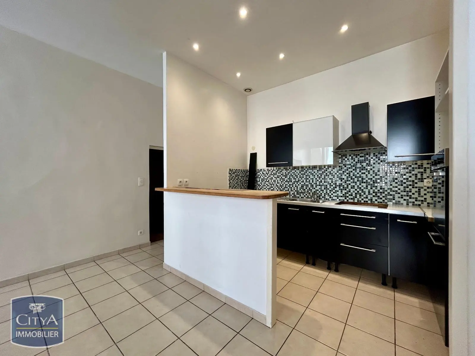 Photo 1 appartement Lyon 1er Arrondissement