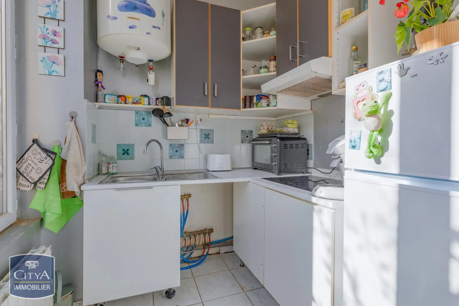 Photo 4 appartement Villeurbanne