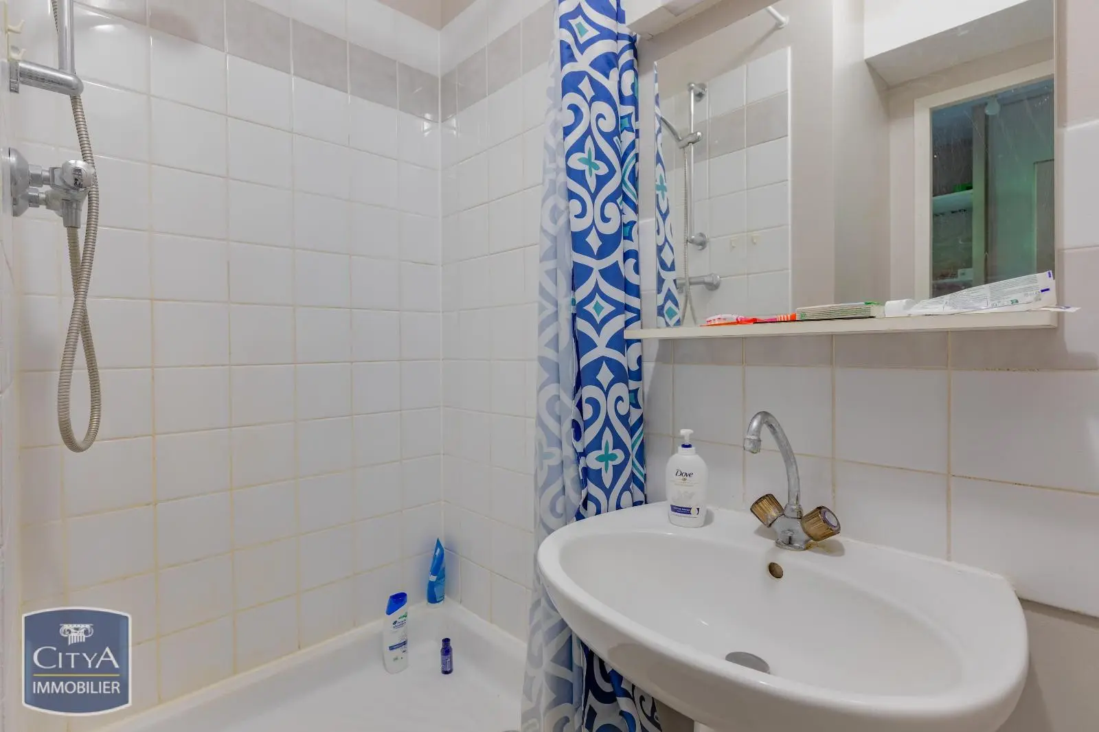Photo 10 appartement Villeurbanne