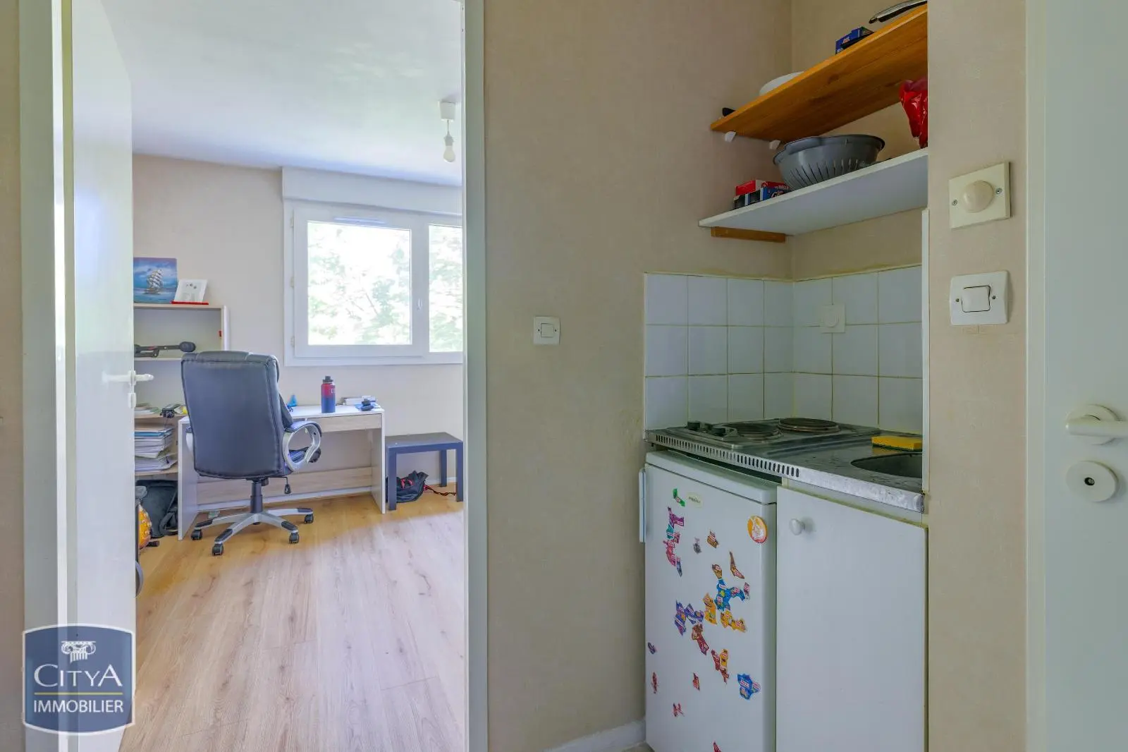Photo 9 appartement Villeurbanne