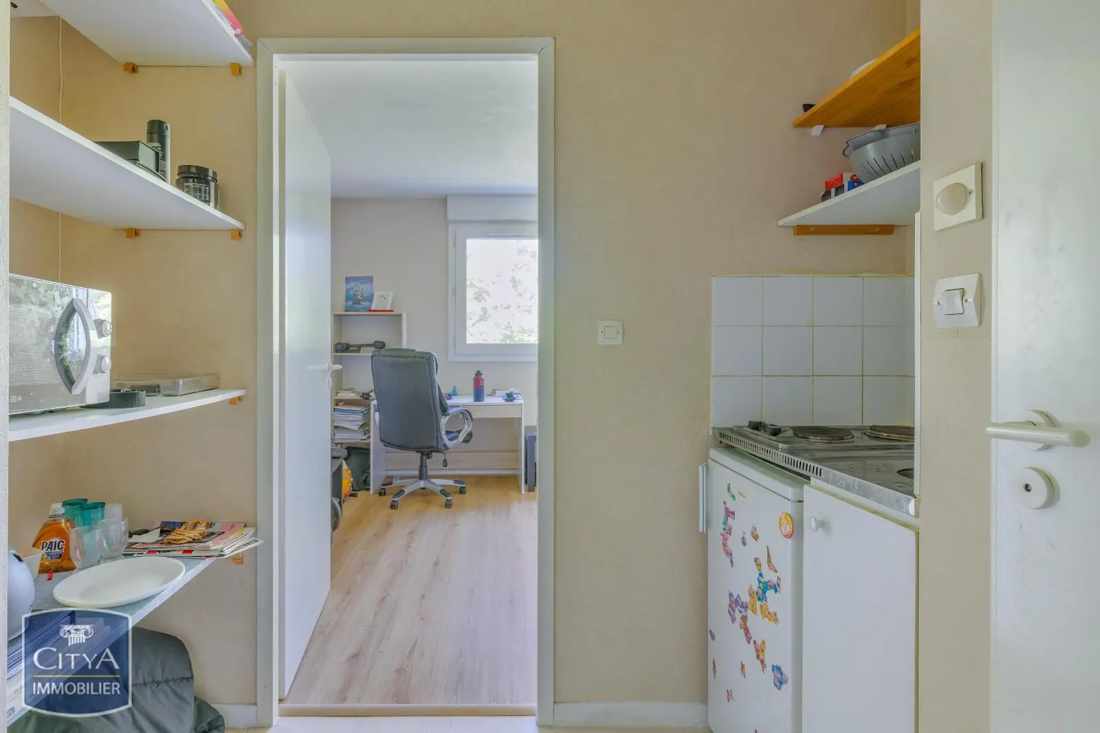 Photo 6 appartement Villeurbanne