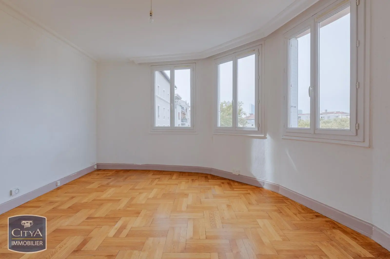 Photo 1 appartement Lyon 3e Arrondissement
