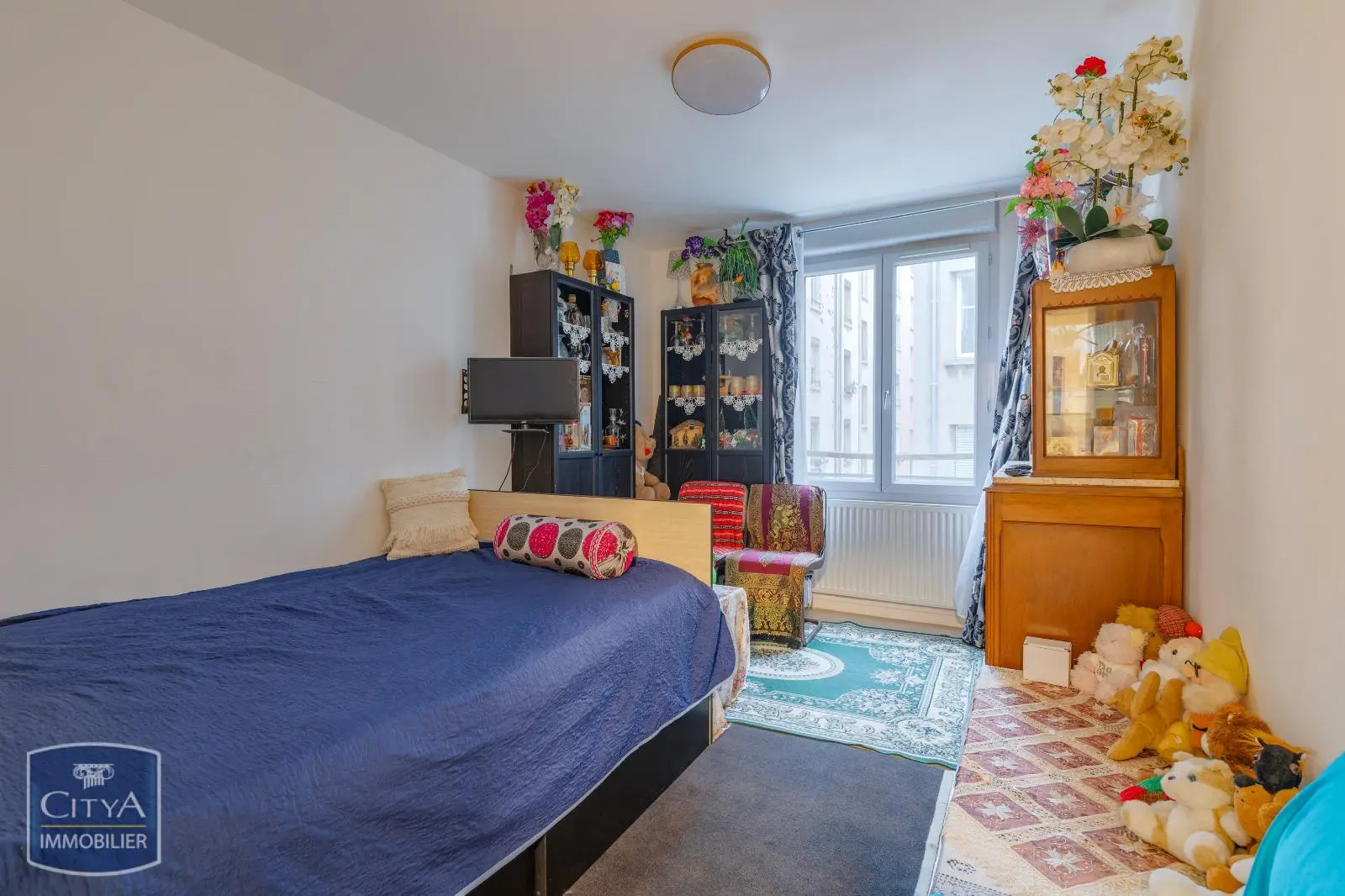 Photo 3 appartement Lyon 3e Arrondissement