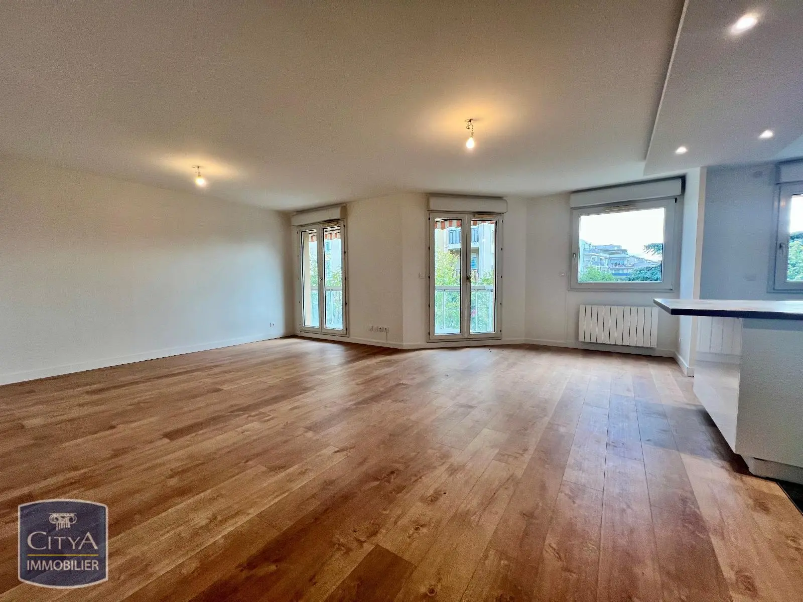 Photo 1 appartement Lyon 8e Arrondissement