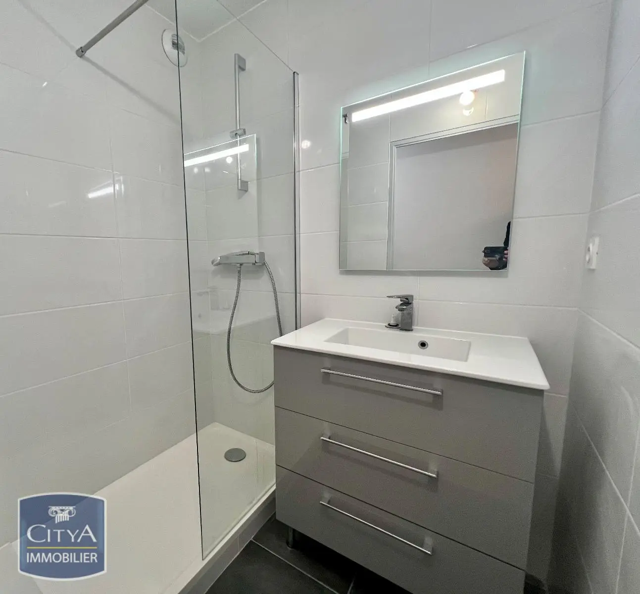 Photo 8 appartement Lyon 8e Arrondissement